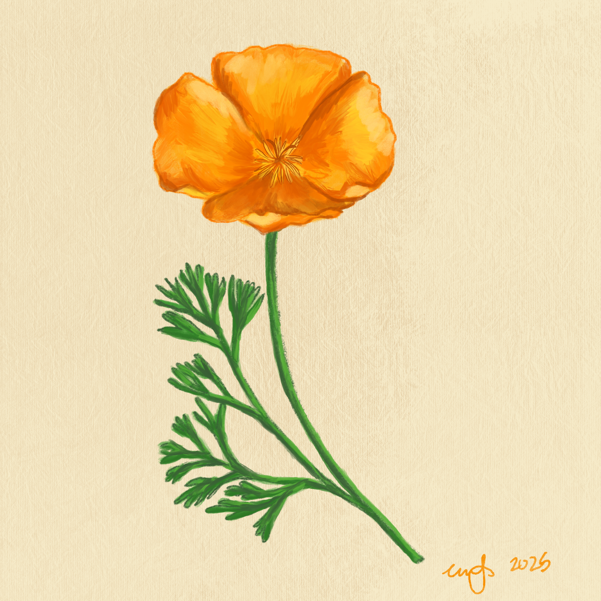 Untitled_Artwork 3.png