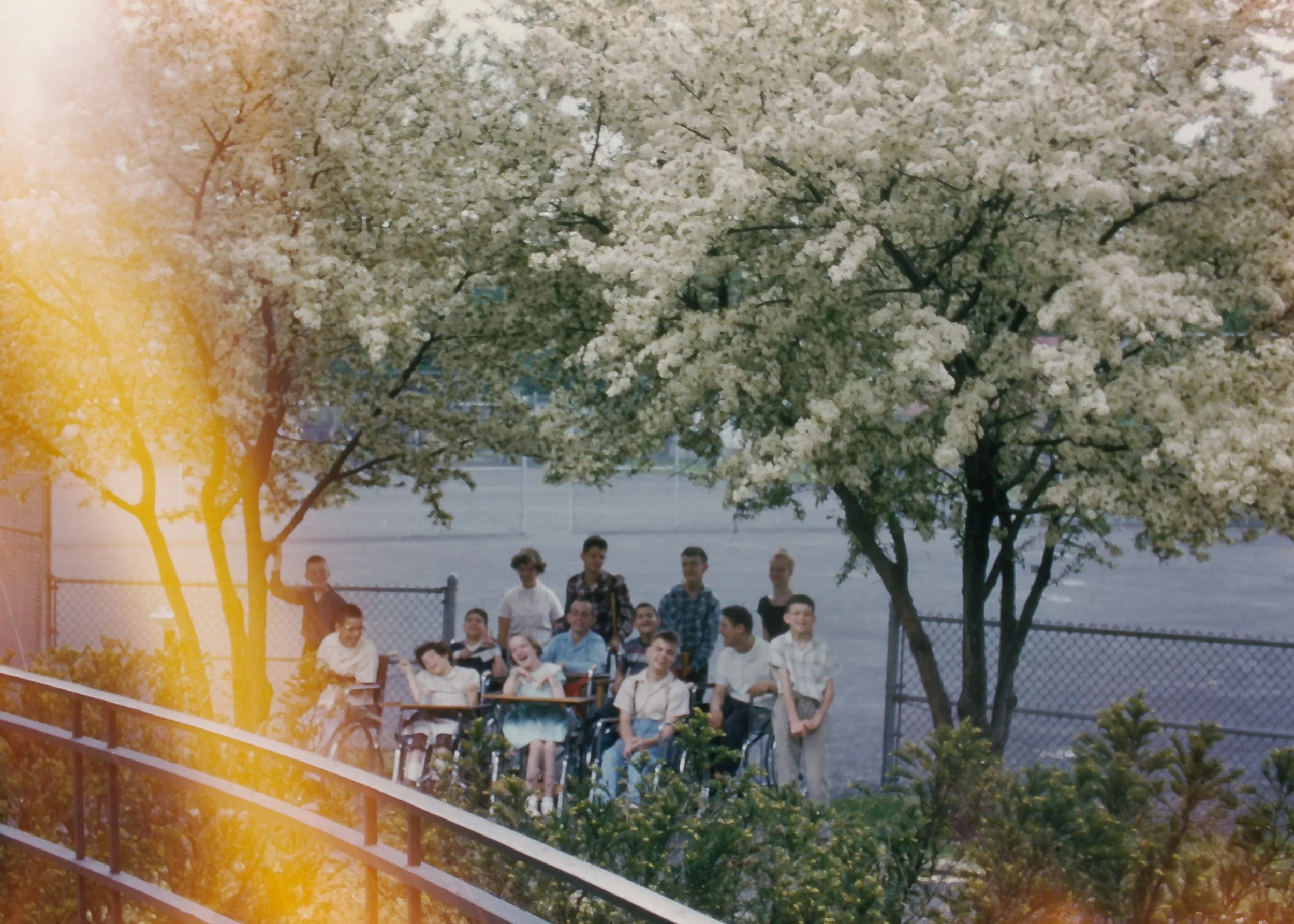 SLIDE_FriendsFloweringTrees.jpg