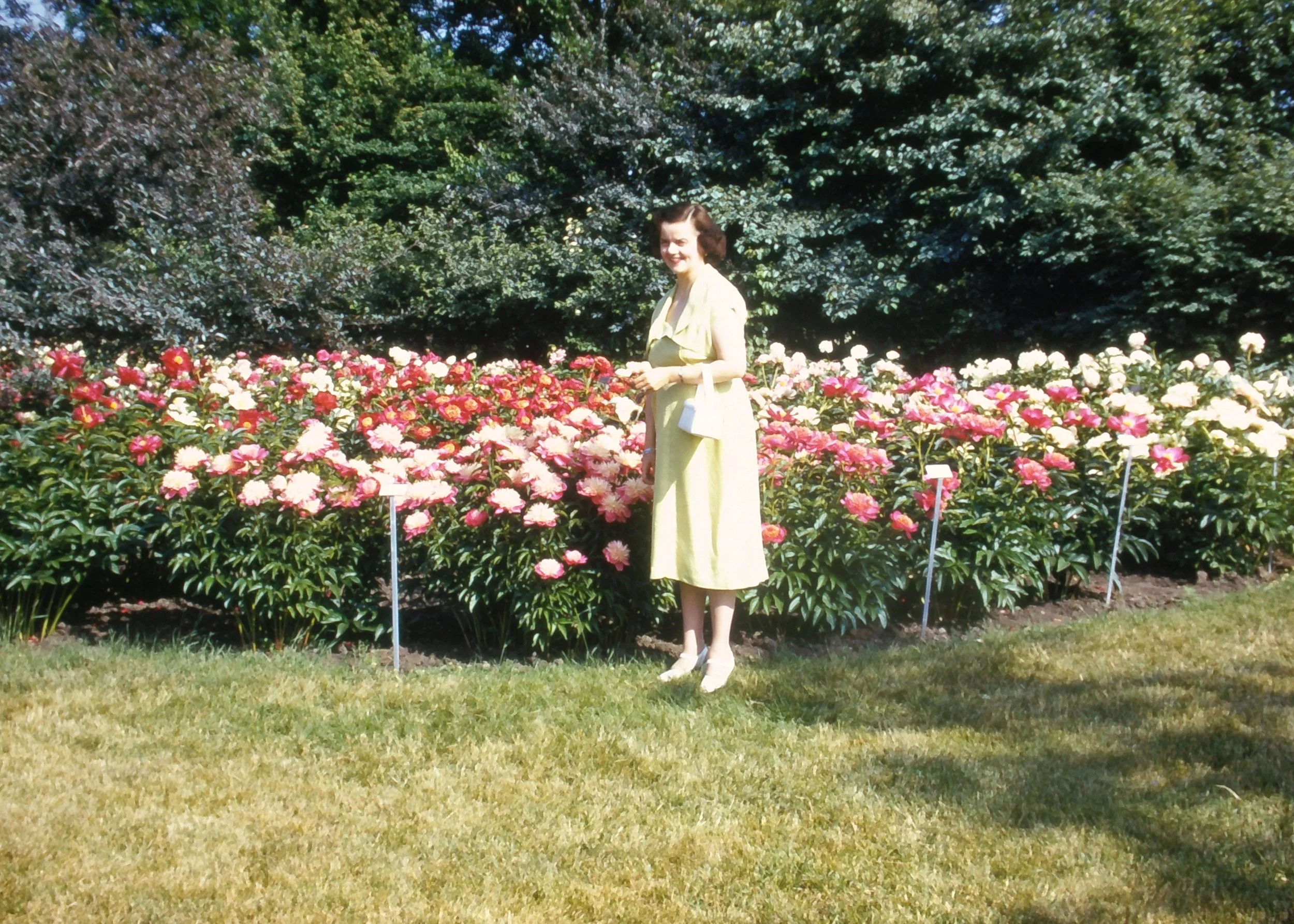 SLIDE_TonyIrma_IrmaFlowers.JPG