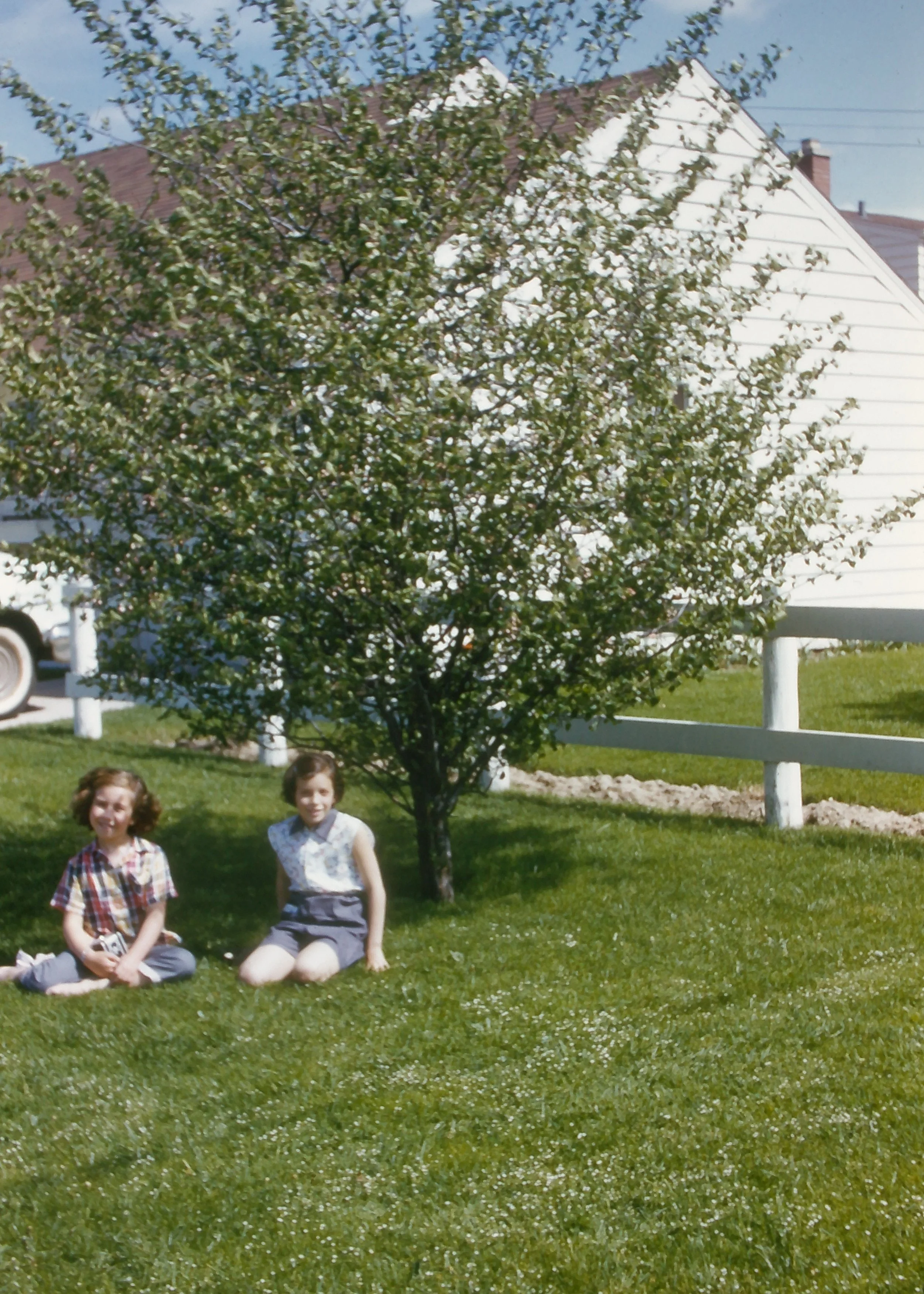 SLIDE_FriendsNeighbors_UnderTree.JPG