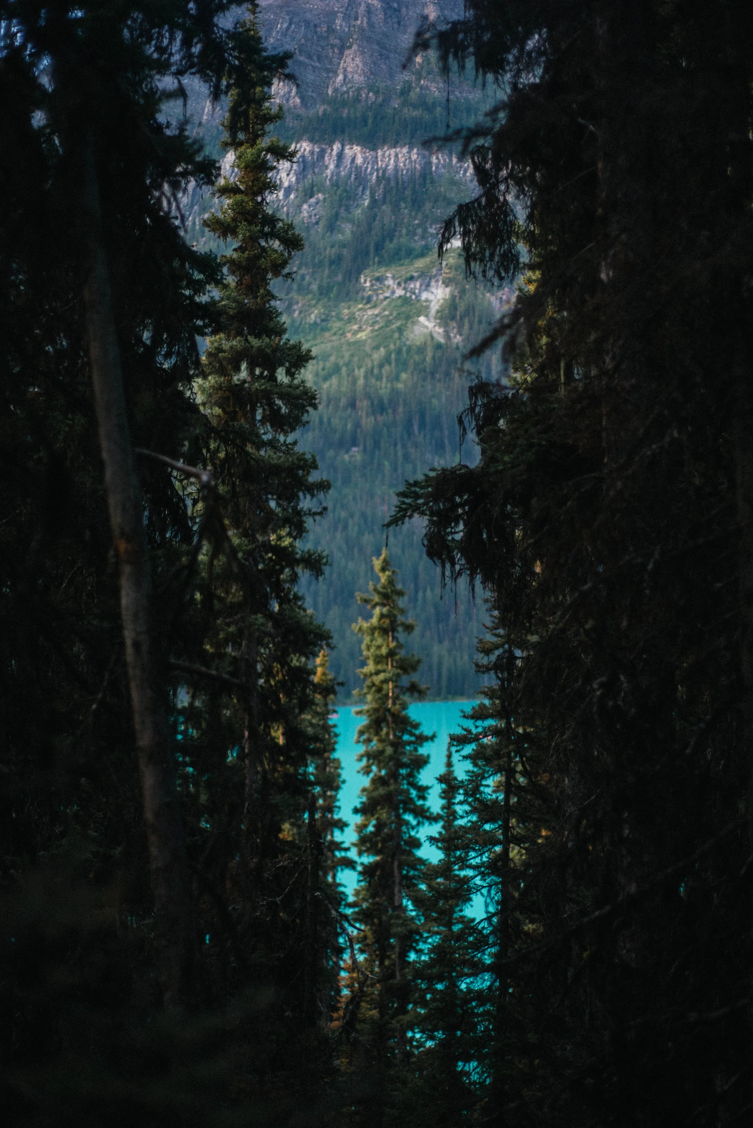 Banff-24.jpg
