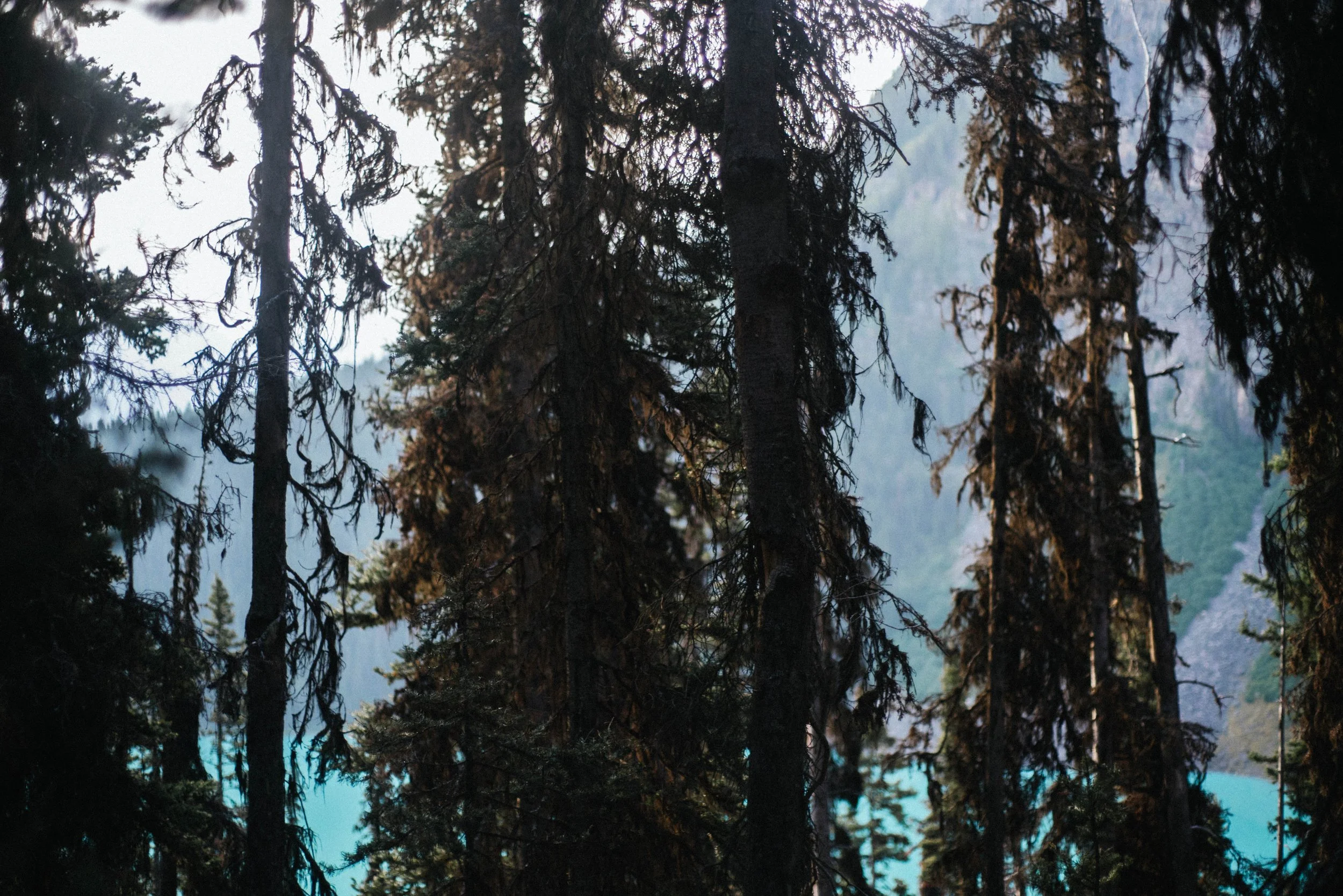 Banff-26.jpg