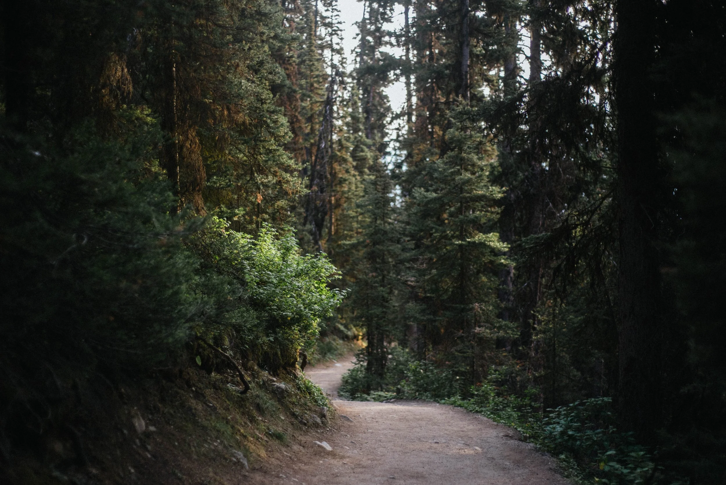 Banff-27.jpg