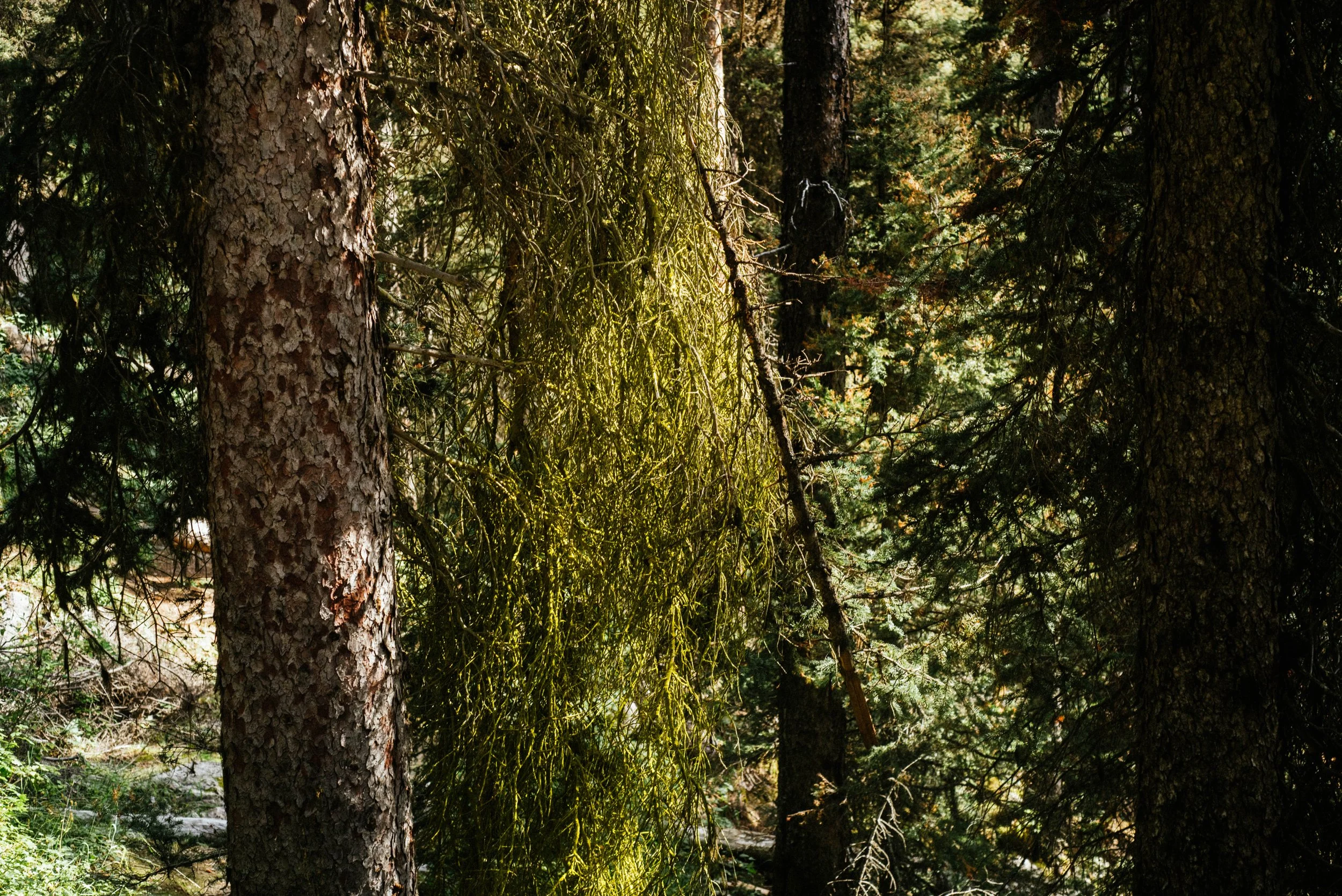 Banff-46.jpg