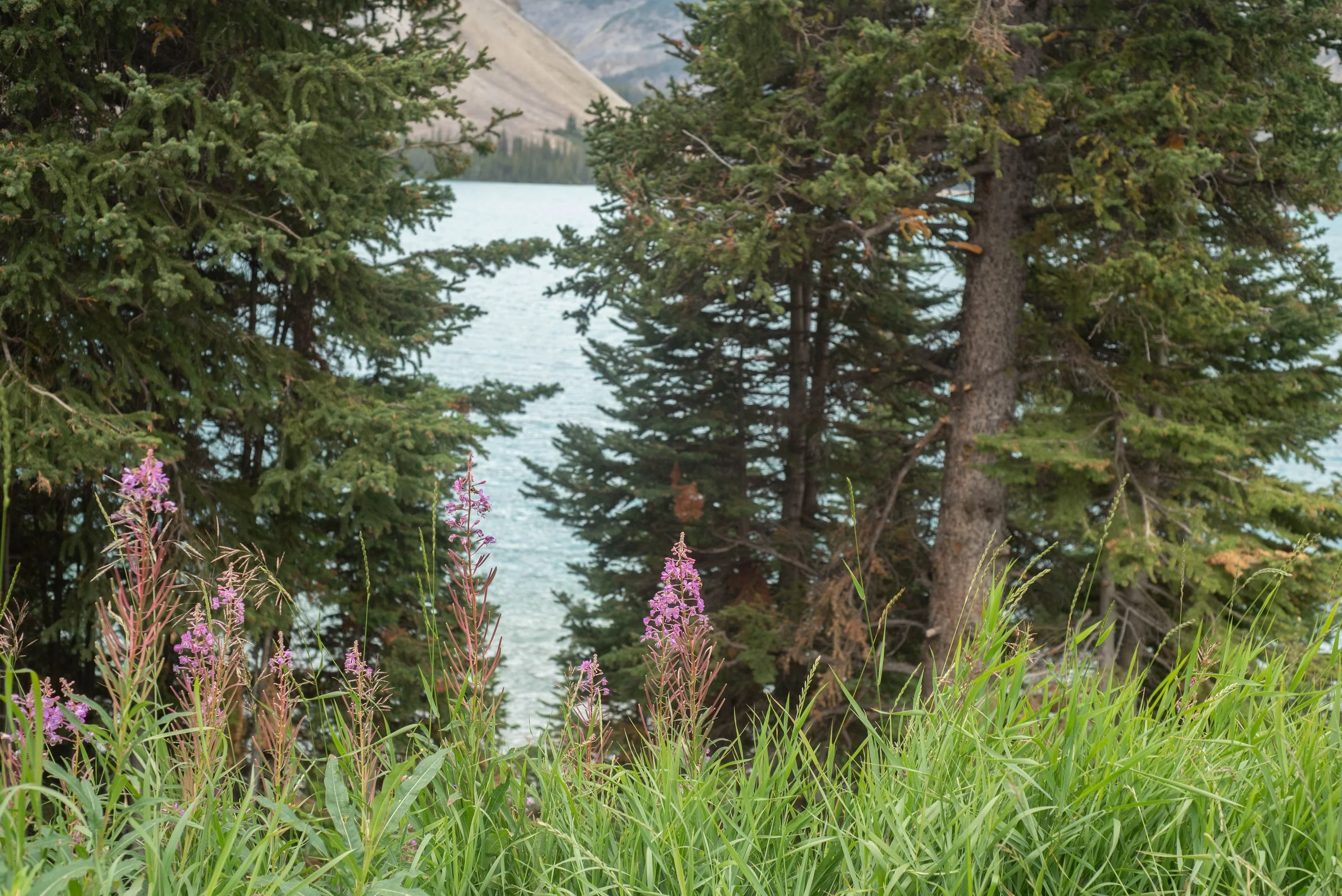 Banff-56.jpg