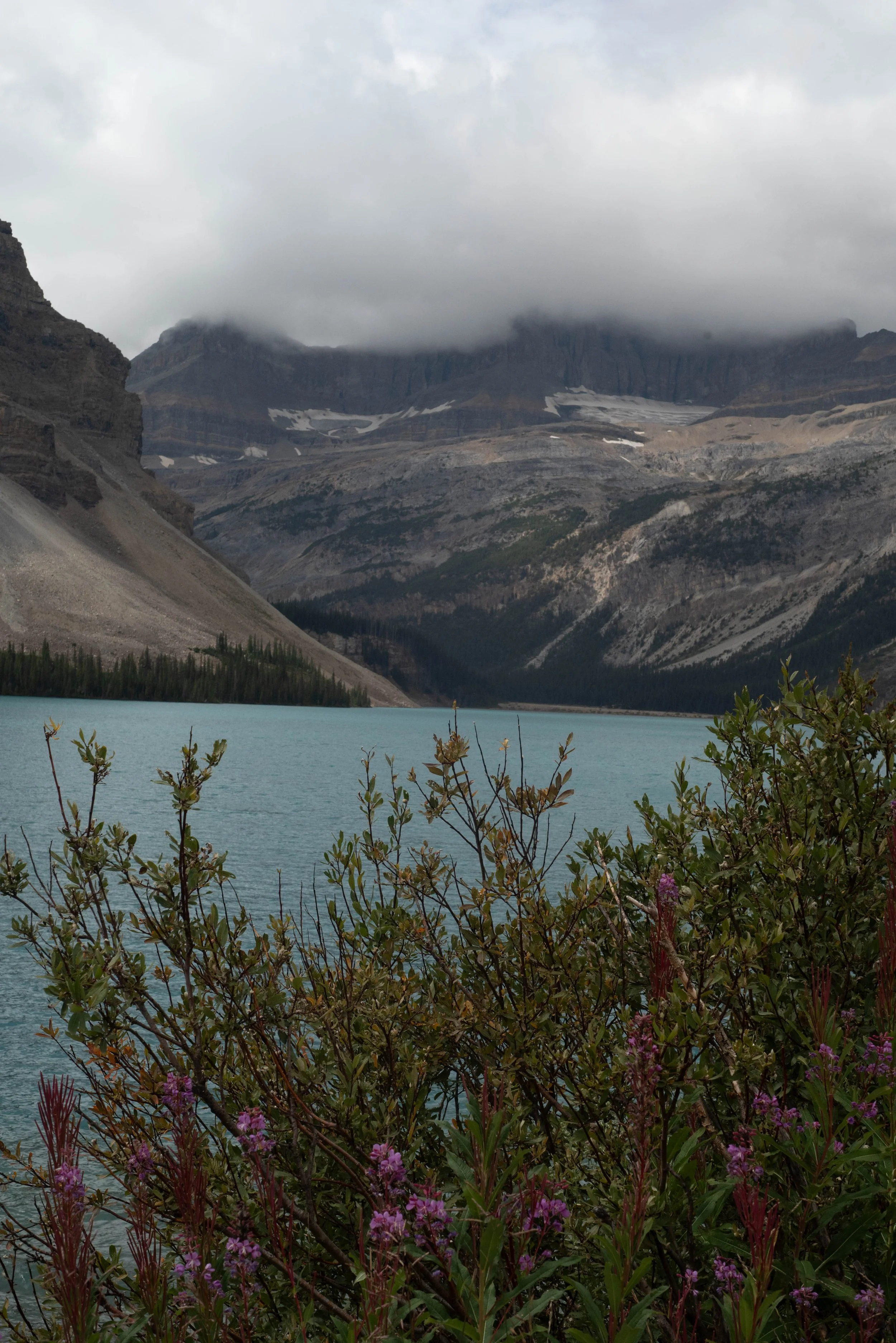 Banff-59.jpg