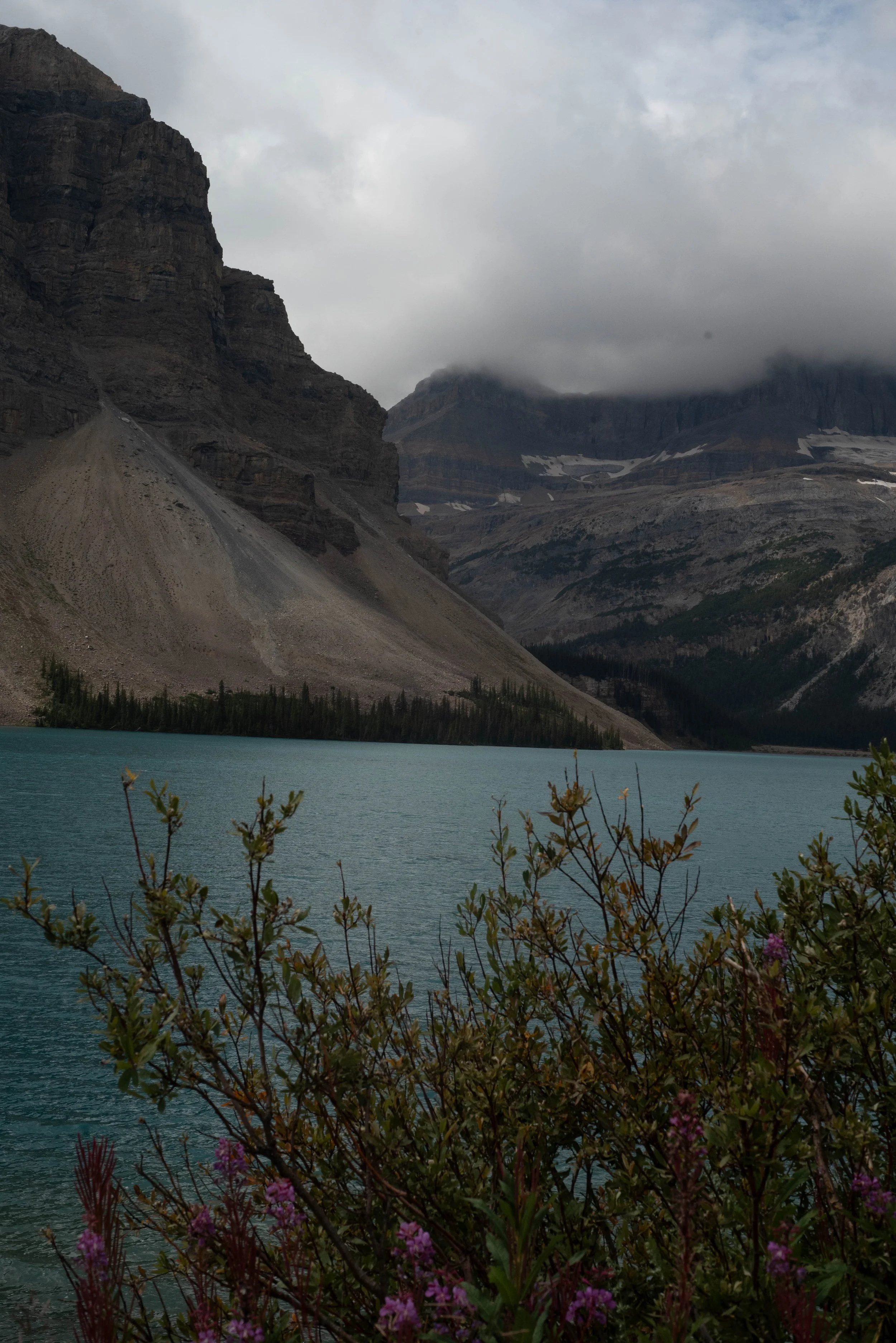 Banff-60.jpg