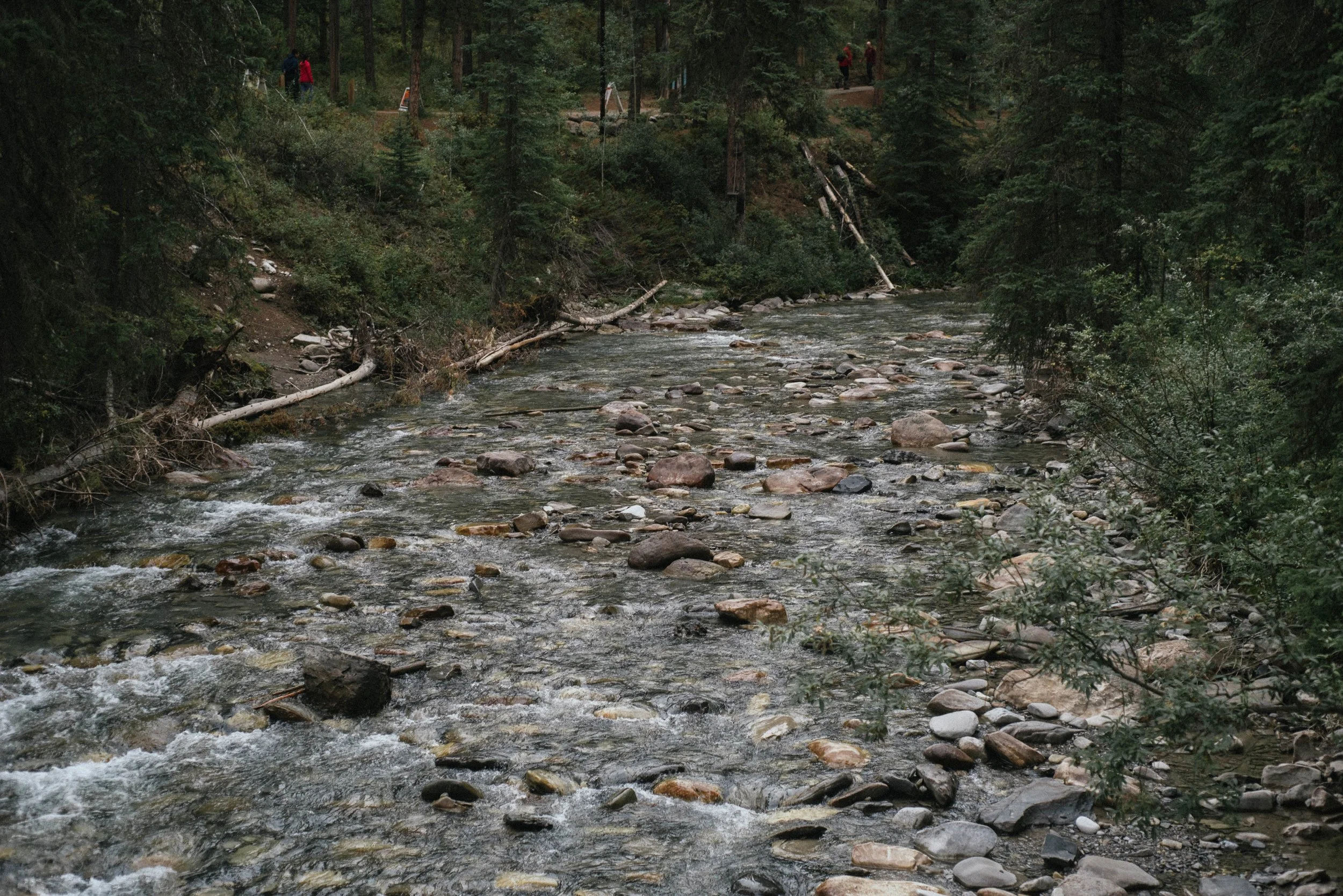 Banff-80.jpg