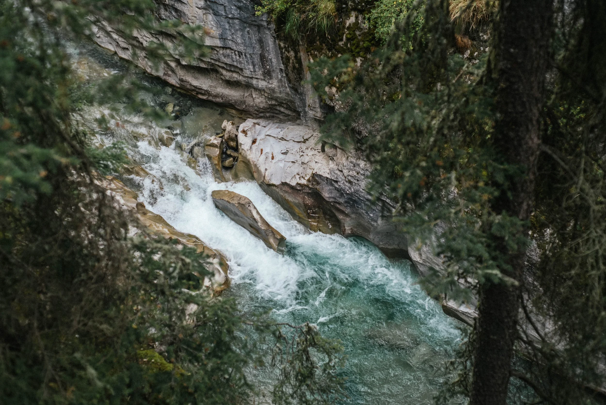 Banff-81.jpg