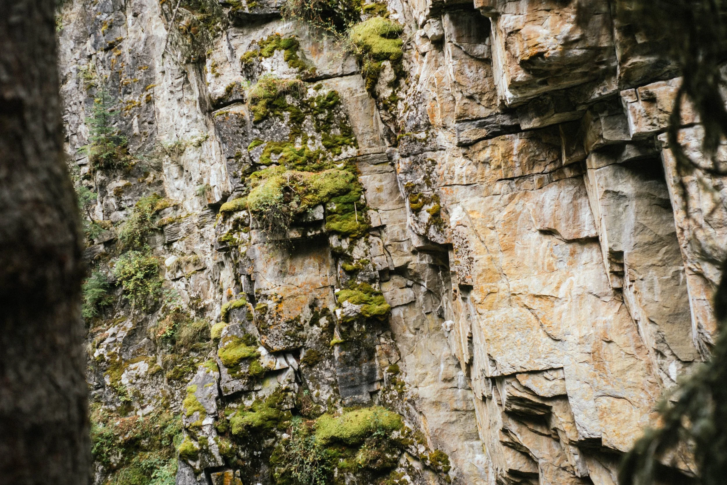 Banff-82.jpg
