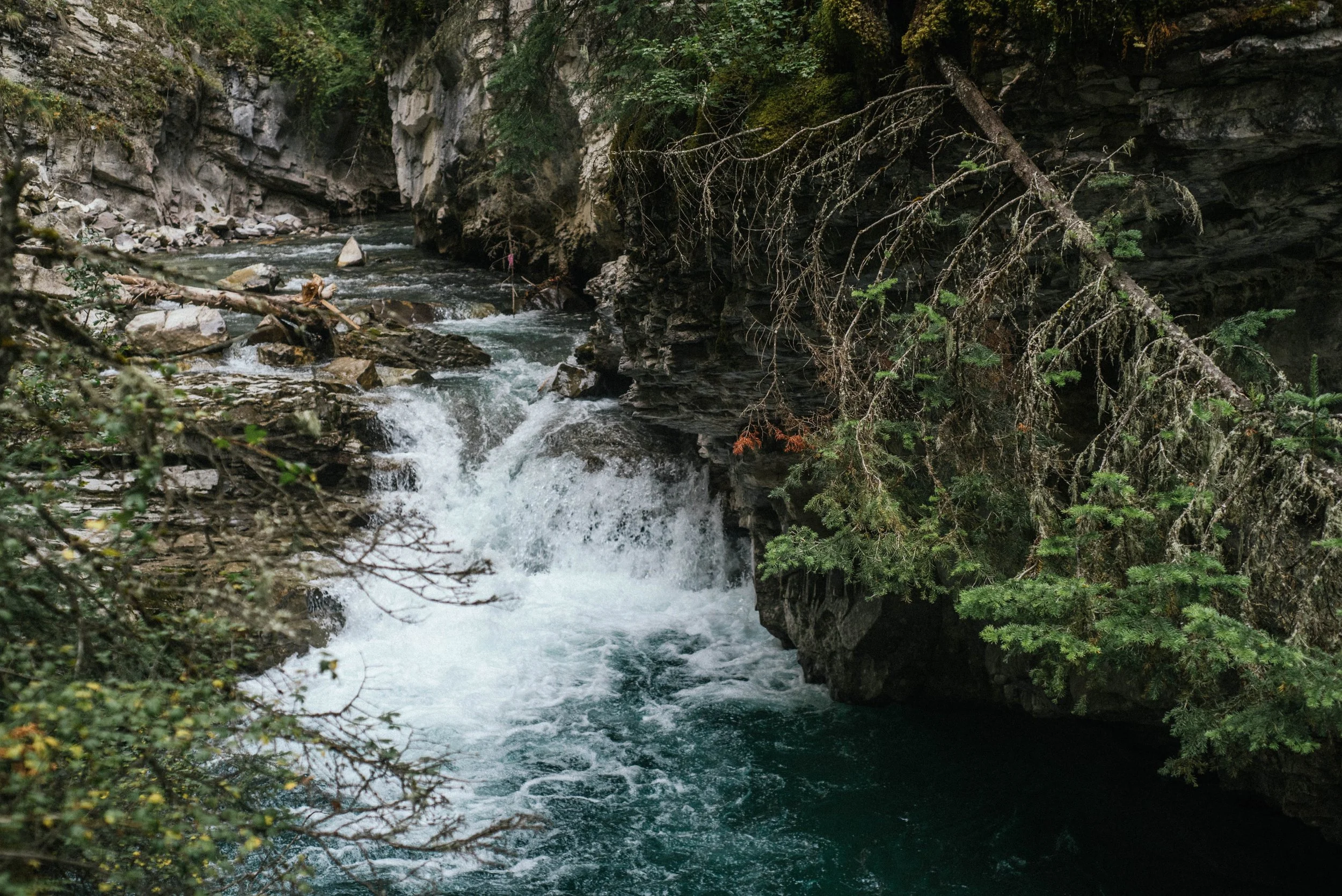 Banff-84.jpg