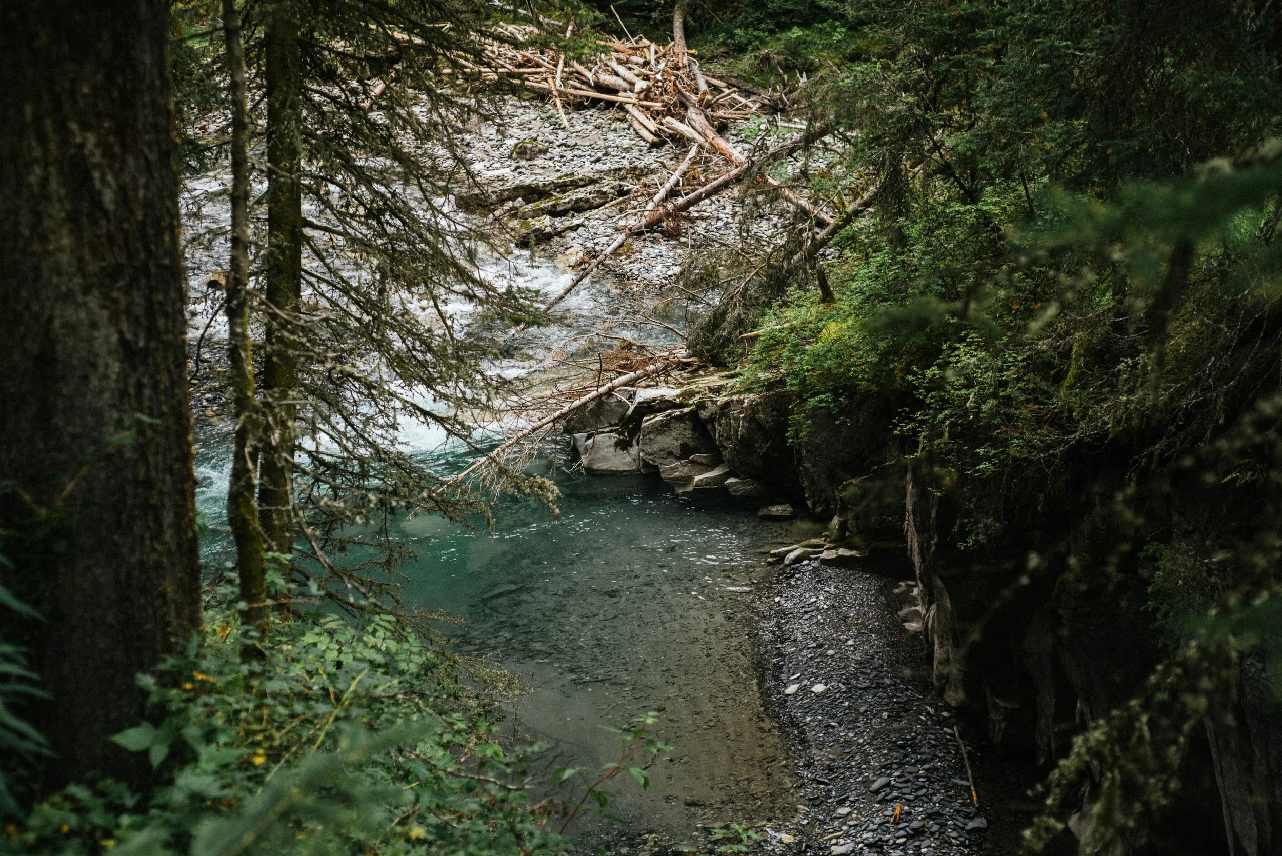 Banff-85.jpg