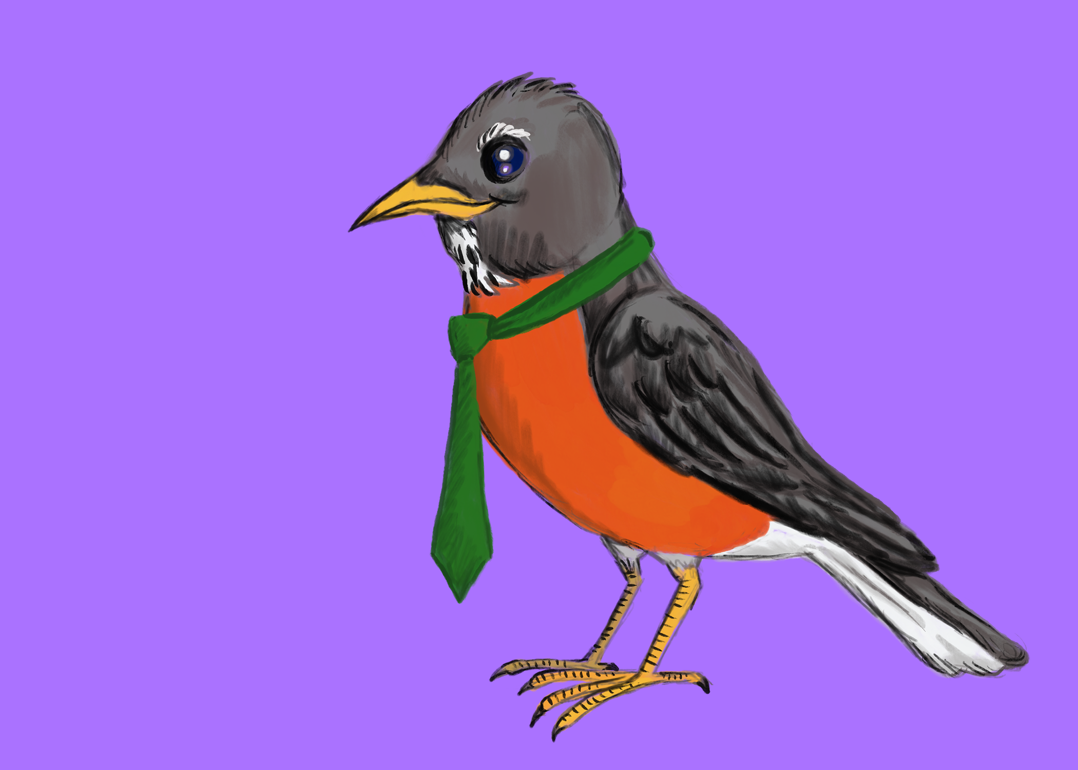 Bob the Robin