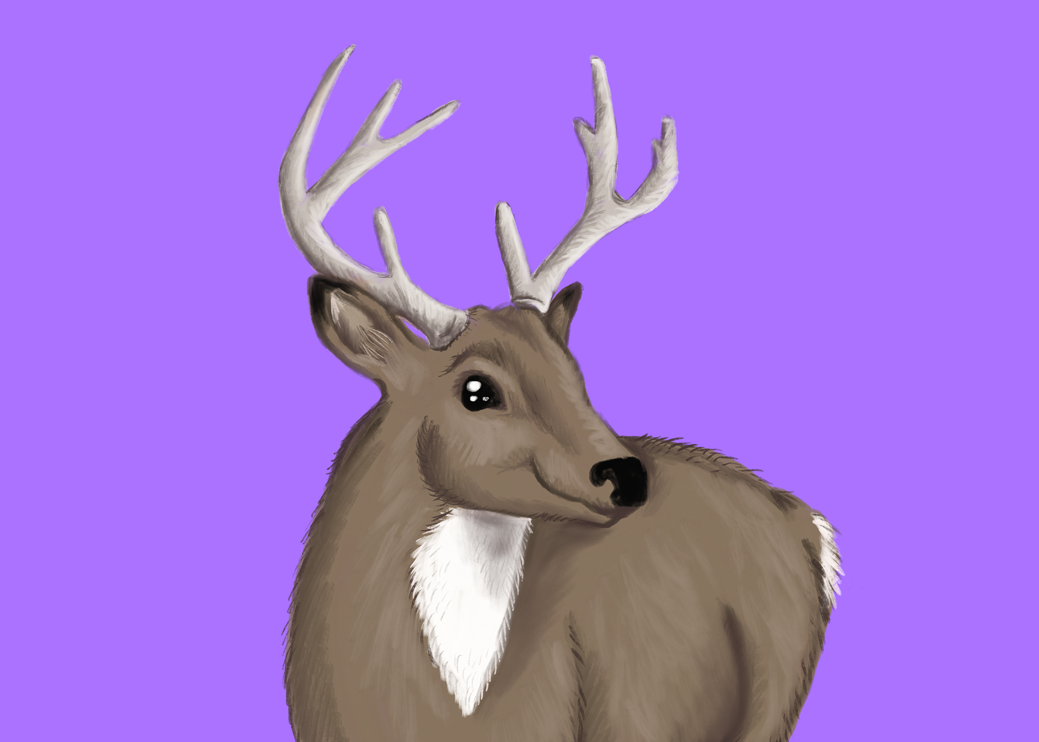 Greg the Deer