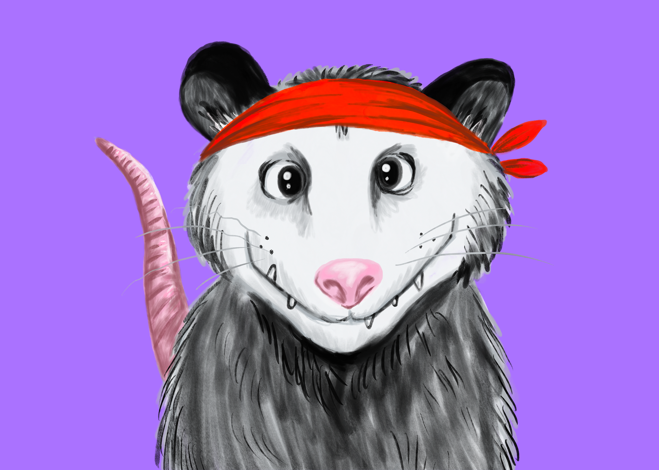 Pat the Opossum