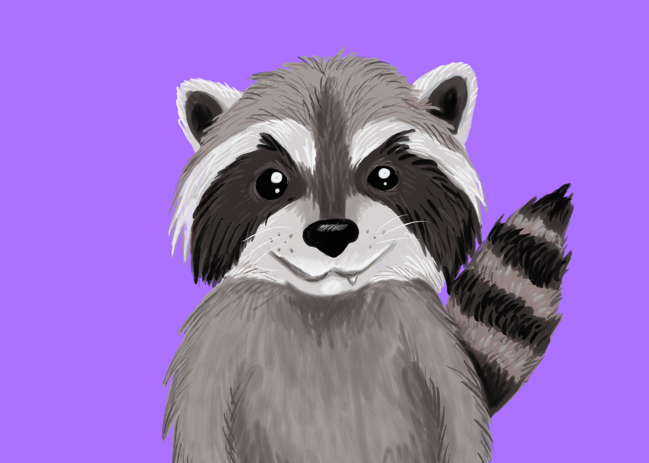 Rocco the Racoon