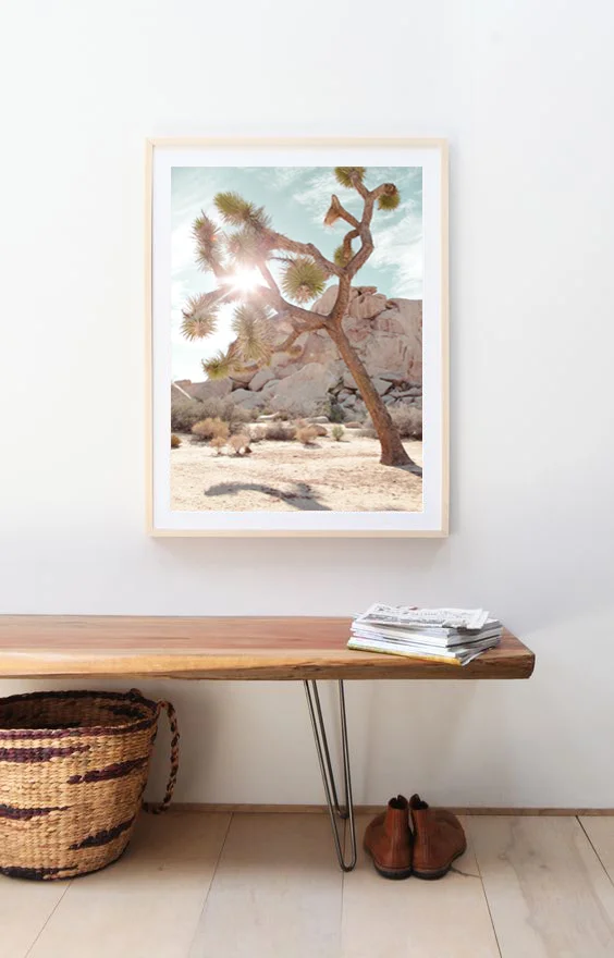 c5b97e4bed9cb3a735d891a1a7fdaaba copy.jpg