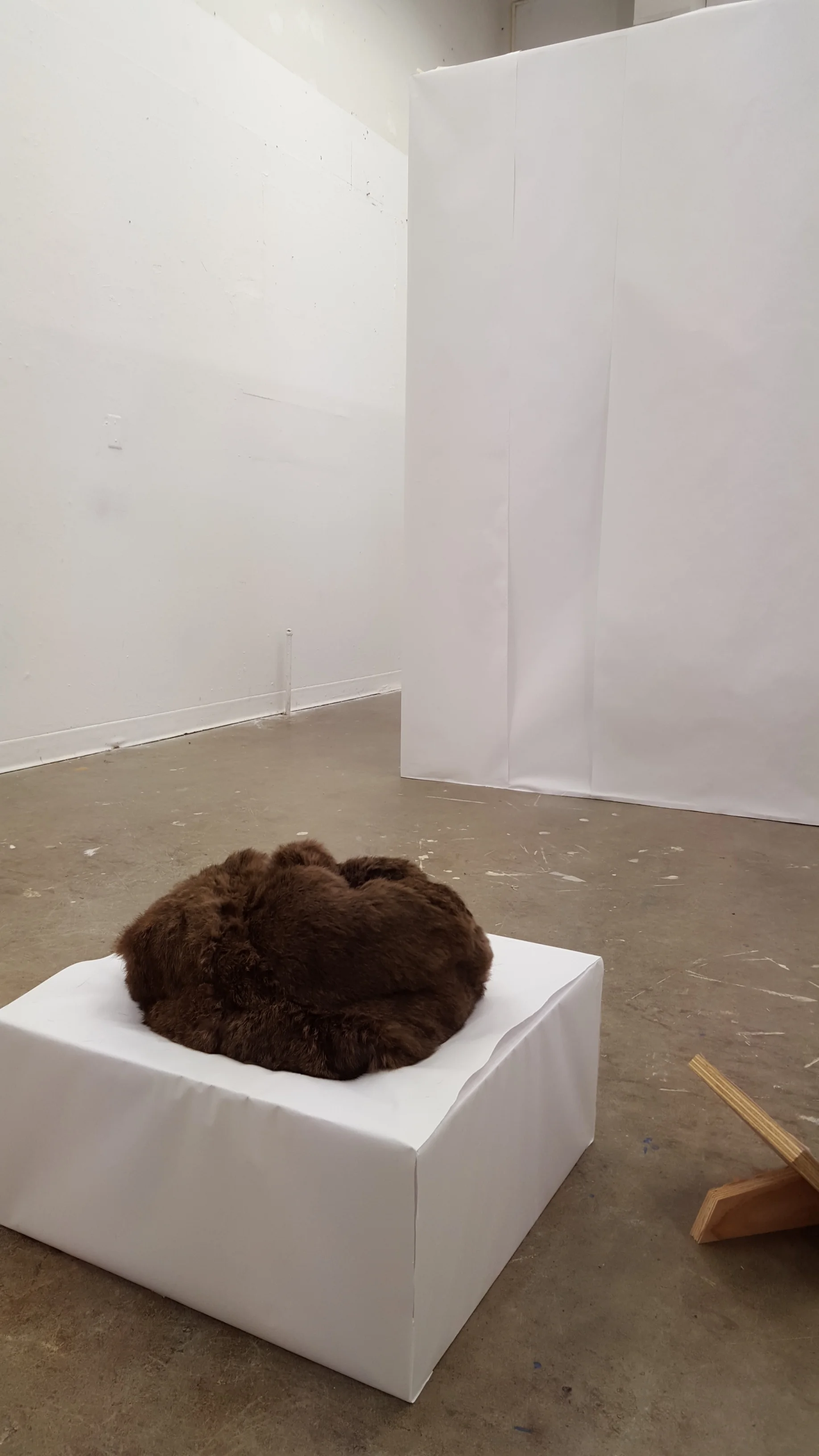 It is implied that the fur object is the one making the request. The "room" refers to the paper room, which is obvious in the installation. The cognitive understanding of the installation, at this point, is disrupted by the very physical experience of holding the fur. It is a strange object, difficult to describe. The fur is real rabbit fur, and the marbles inside move around making the whole object slippery and difficult to hold onto. The reactions to the fur object are that it feels both alive and dead; the weight of it feels like the weight of a dead body, yet feels as though it is trying to get away because the glass marbles make it move in unpredictable ways. It conjures a feeling of empathy, in the way it is making a request of the viewer, asking to be carried. The fur and the room together give the viewer a feeling of futility. The room can't be entered, and the "one more time" in the request places it in an endless loop.
