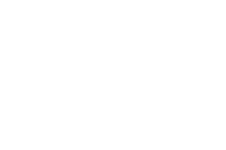 OFFICIAL+SELECTION+-+Central+Florida+CineFest+-+CFCF+-+2019.png