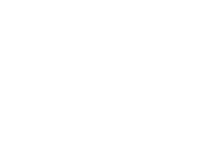 OFFICIAL+SELECTION+-+Life+Screenings+International+Film+Festival+-+2019.png
