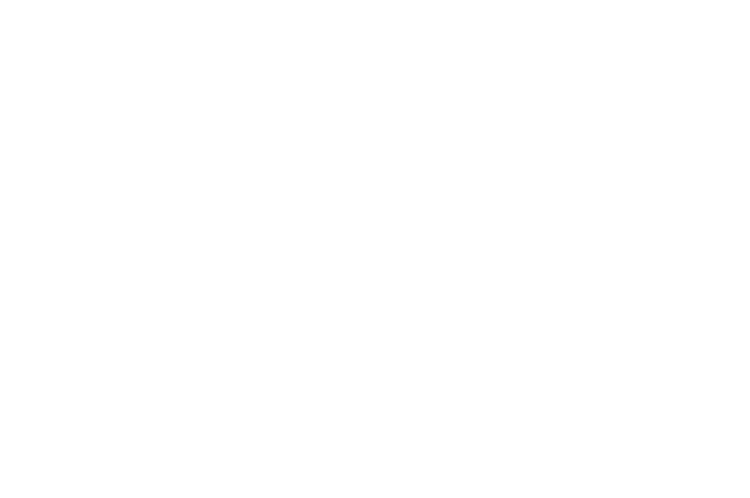 OFFICIAL+SELECTION+-+The+Mosaic+Film+Festival+-+2019.png
