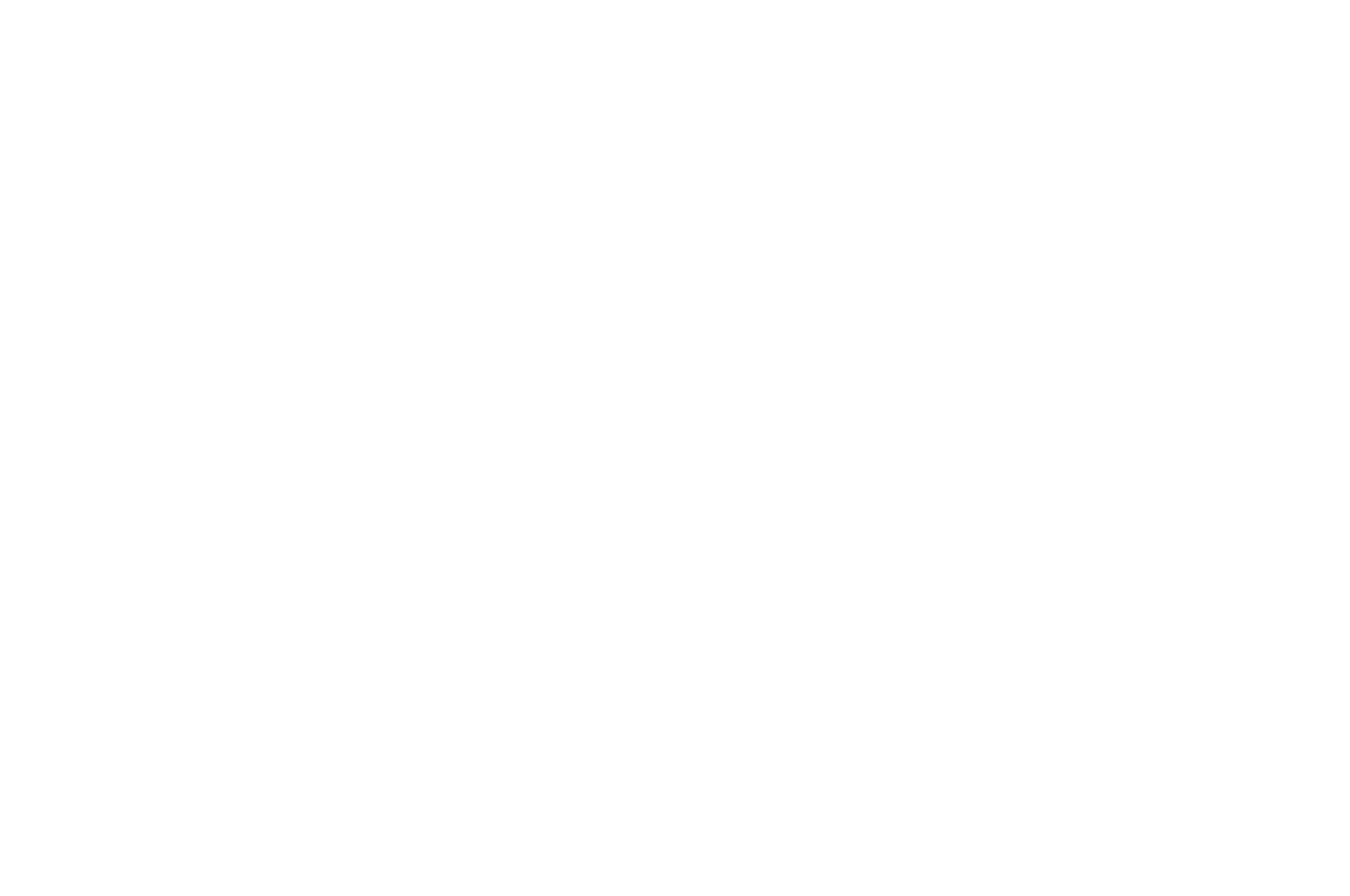 OFFICIAL SELECTION - DEPTH OF FIELD INTERNATIONAL FILM FESTIVAL - 2019.png