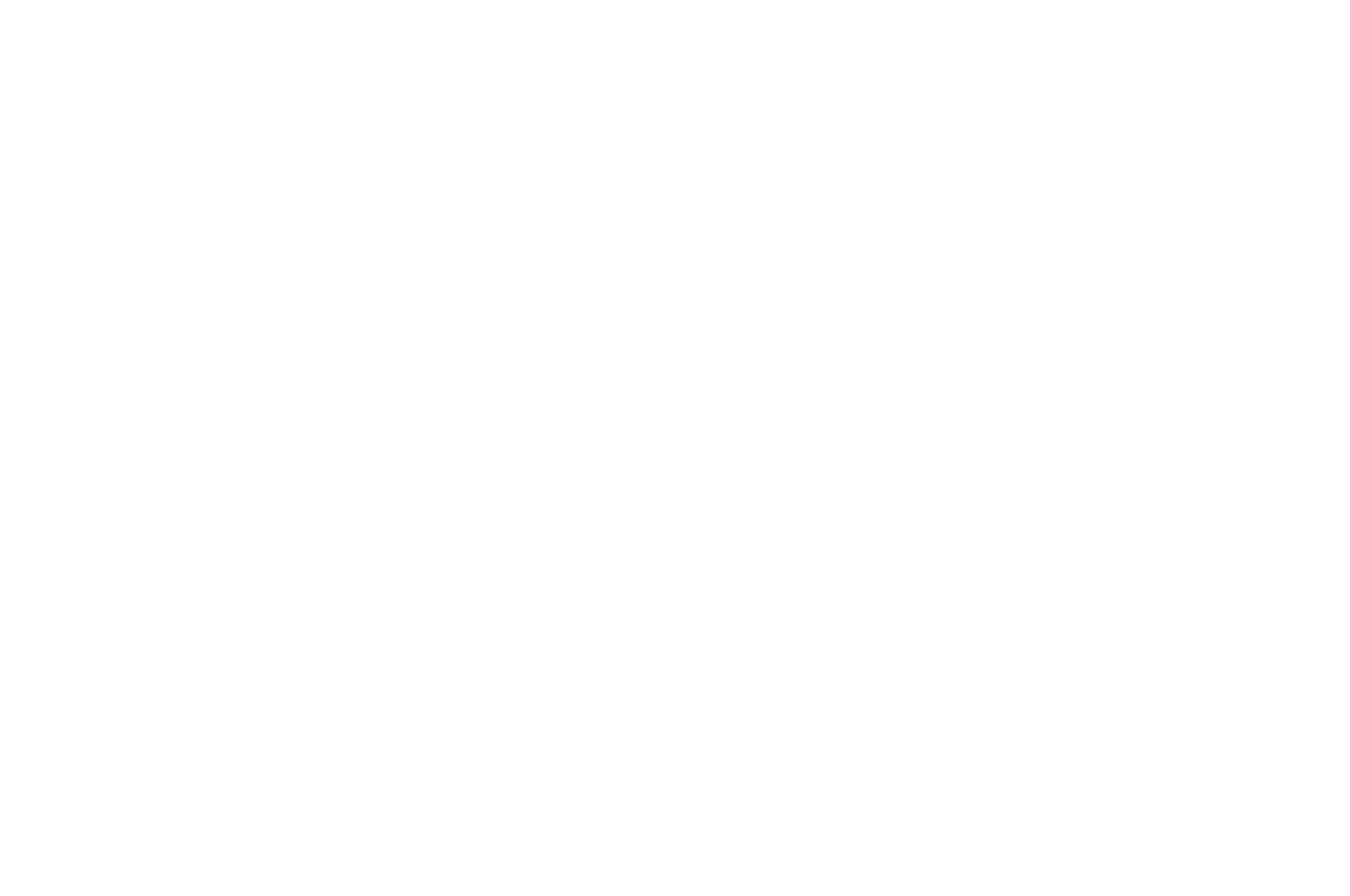 OFFICIAL SELECTION - Central Florida Film Festival - 2022-2.png