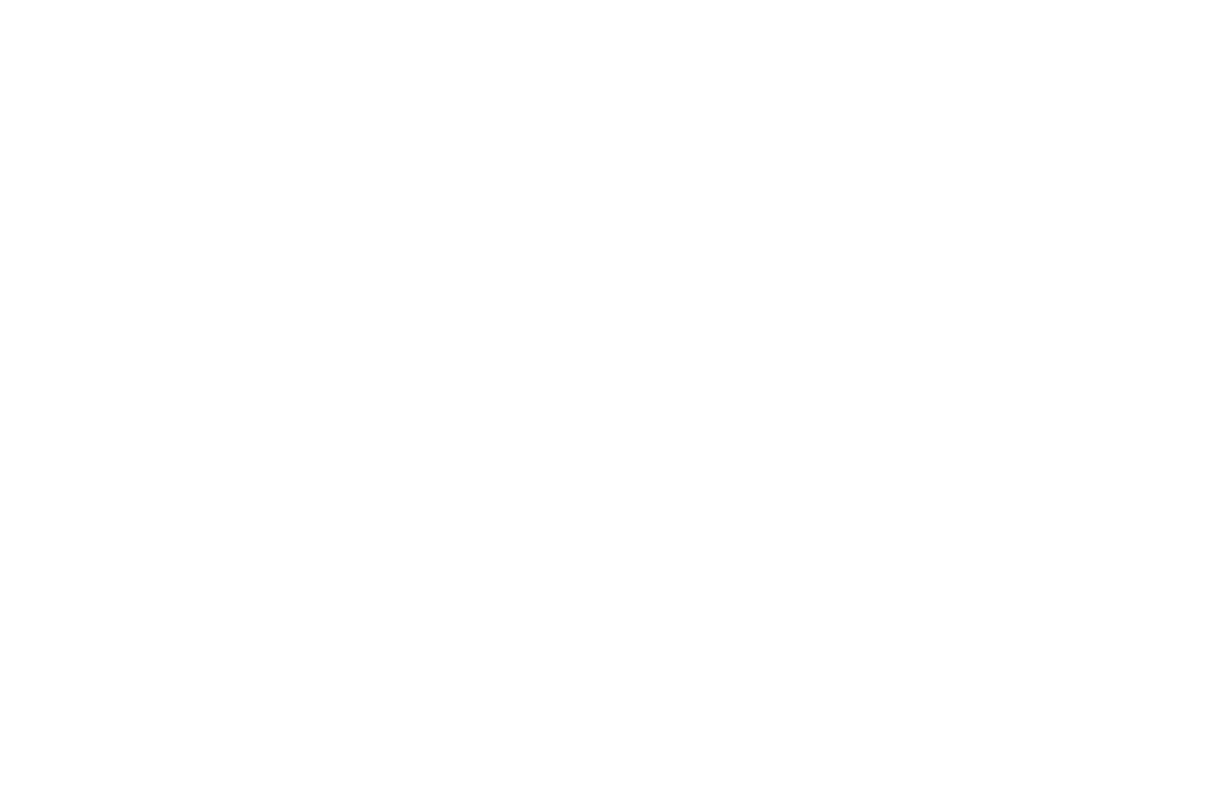 OFFICIAL SELECTION - Central Florida ShortNight - CFSN - 2021-2.png