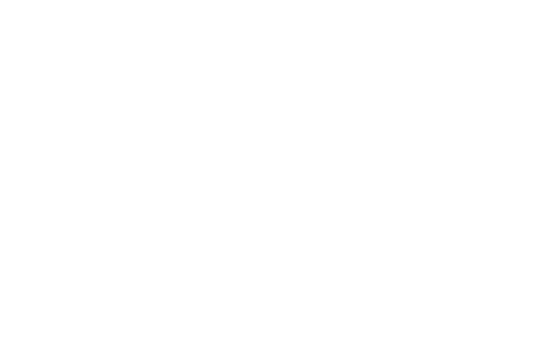 OFFICIAL SELECTION - Iconic Images Film Festival - 2021-2.png