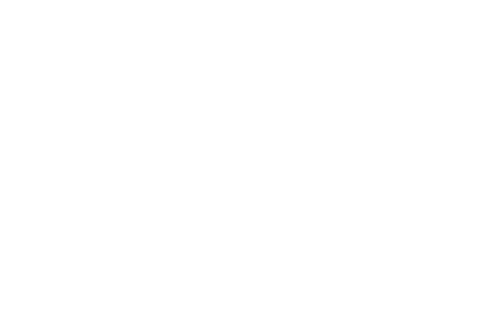 OFFICIAL SELECTION - North Carolina Film Awards - 2015.png