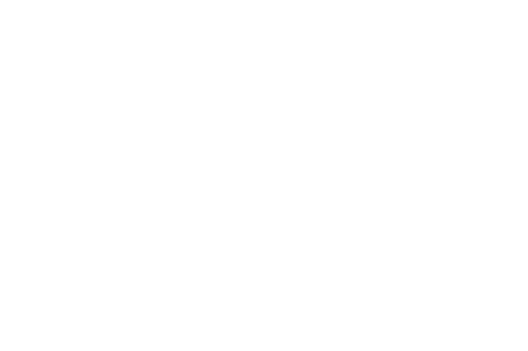 OFFICIAL SELECTION - TOFF - Monthly 2016 Edition.png