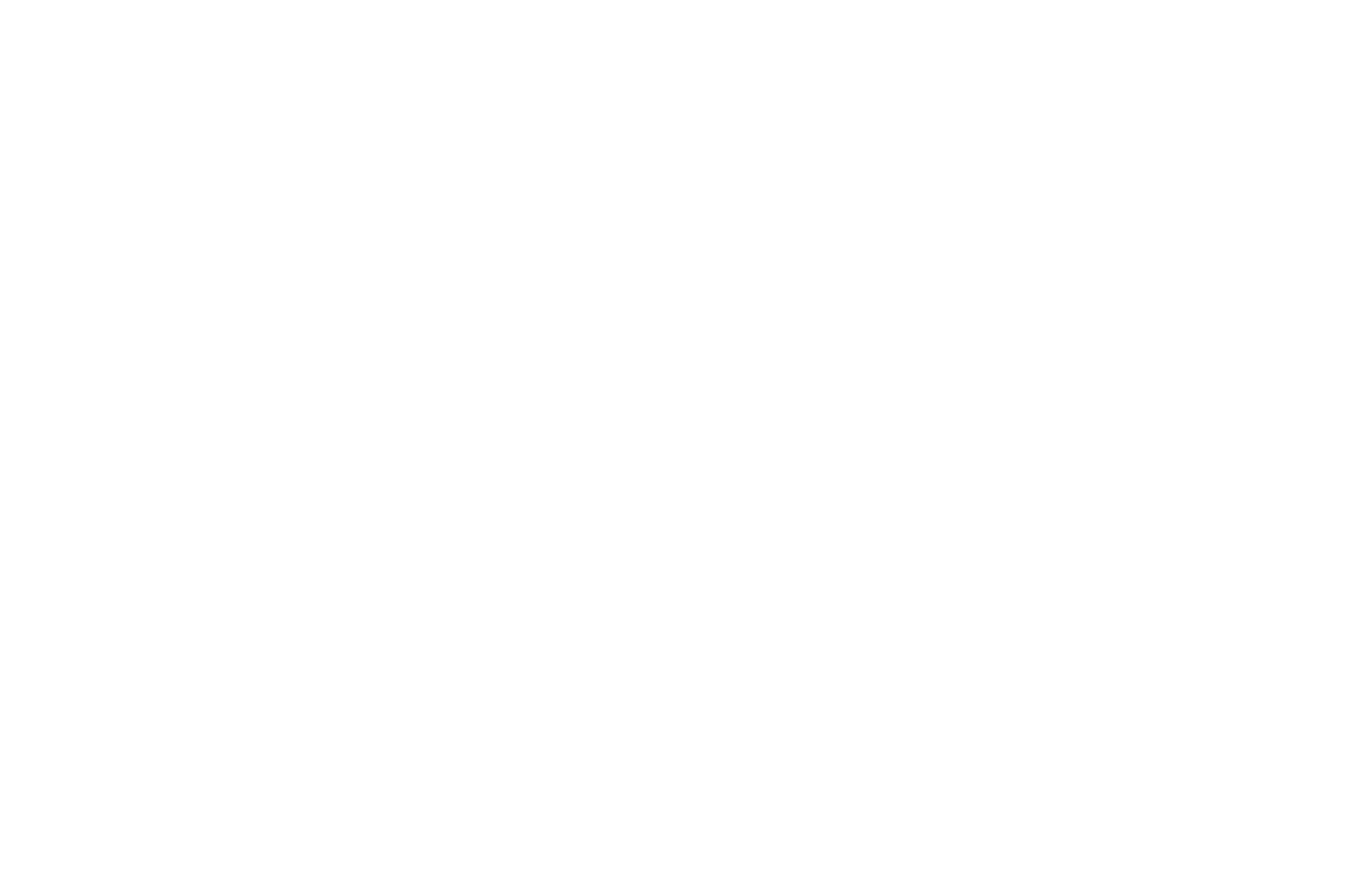 FINALIST - Grand IndieWise Convention - 2016.png