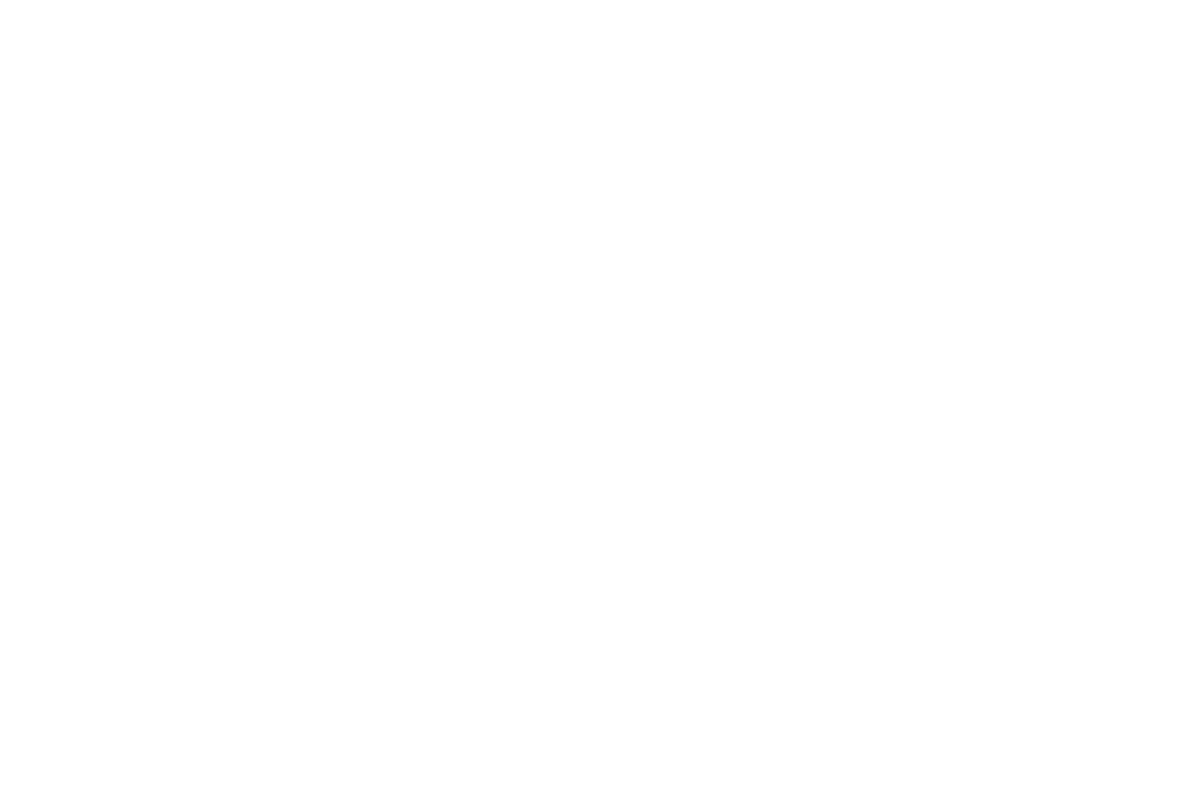 OFFICIAL SELECTION - New York Istanbul Short Film Festival - 2022.png