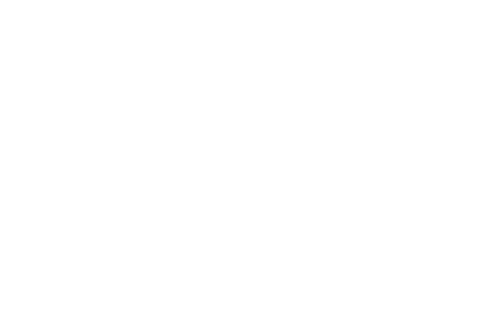 OFFICIAL SELECTION - Central Florida FILMSLAM - 2022.png
