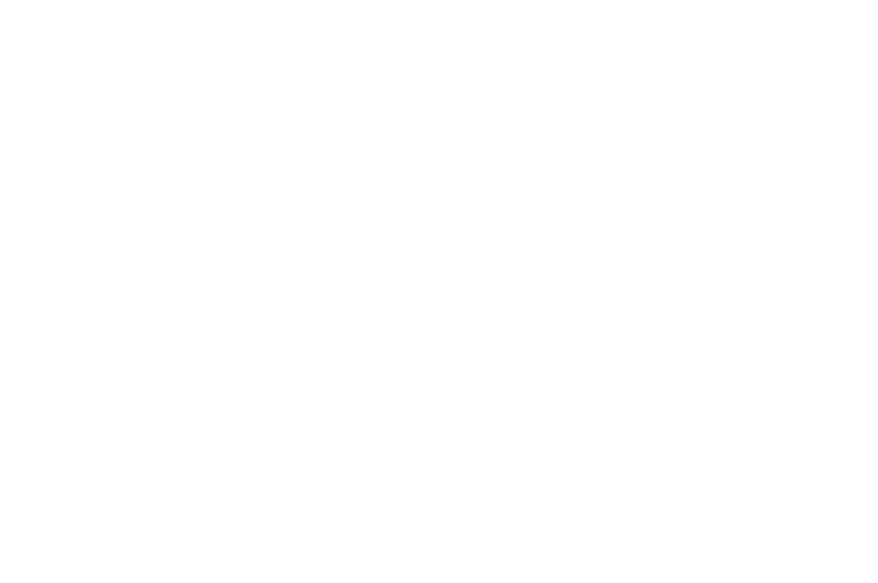 1 AWARD WINNER - Palm Springs Shorts - BEST SHORT.png