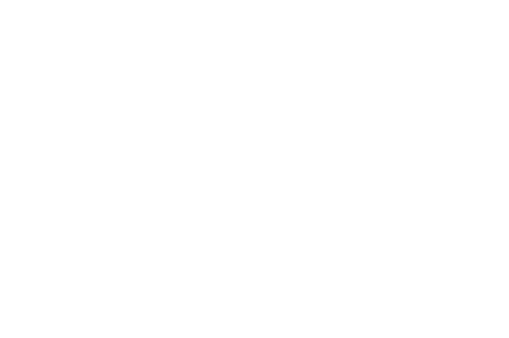 SEMI-FINALIST - Hamburg Indie Film Festival - 2022.png