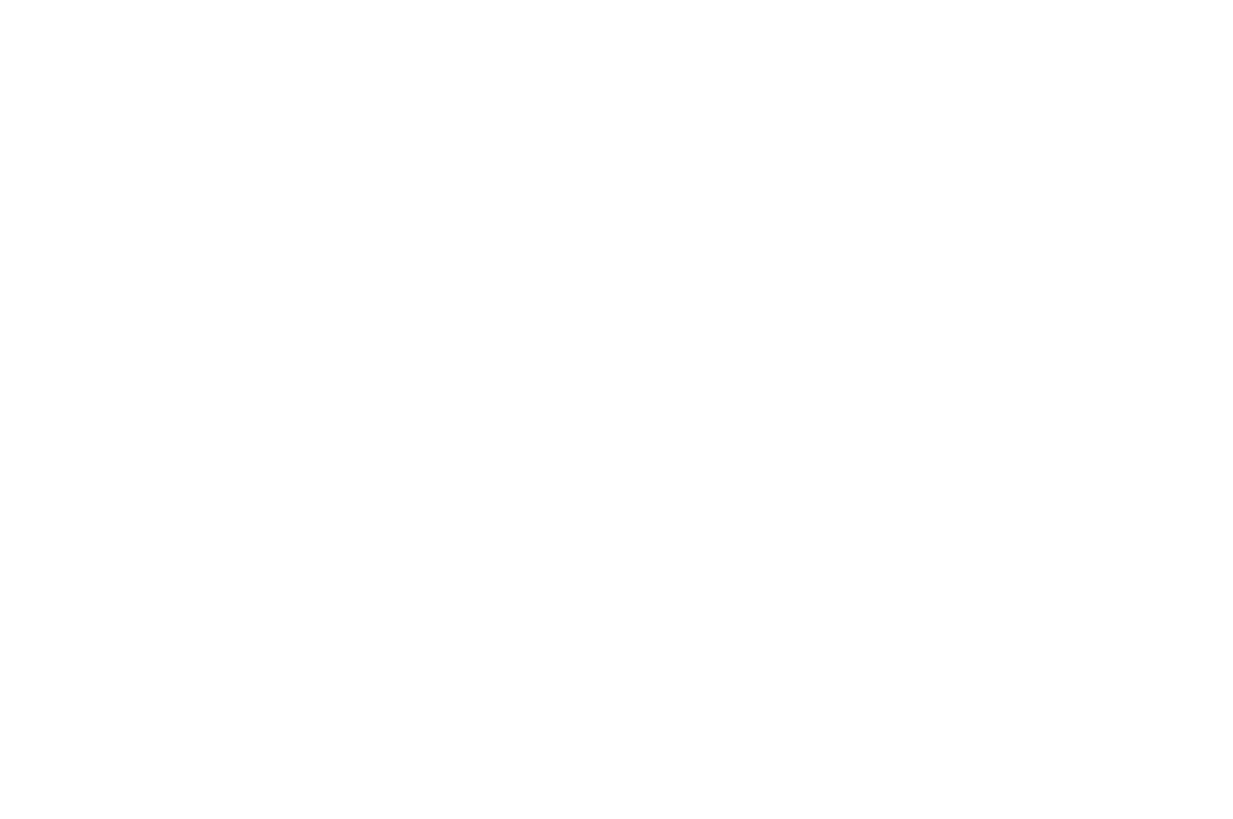 OFFICIAL SELECTION - Dark History and Horror Cons Screaming Mad Film Festival - 2022.png