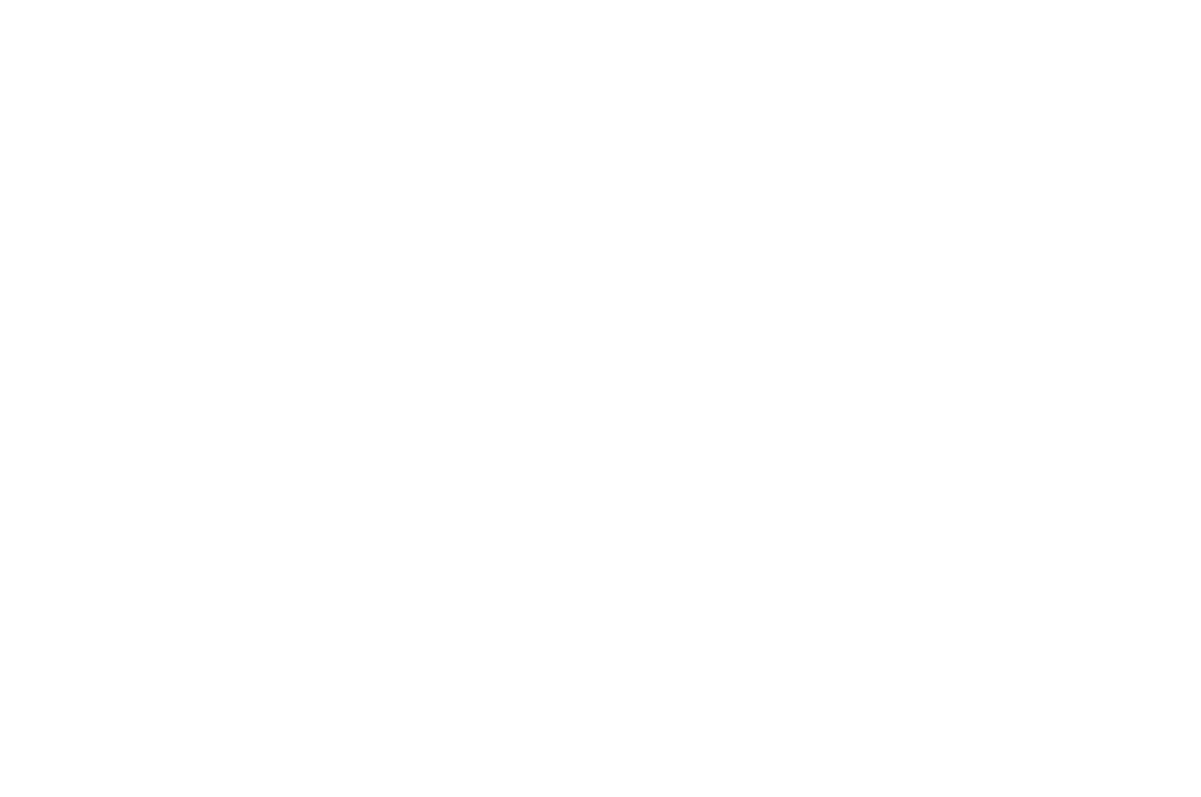 OFFICIAL SELECTION - Orlando Film Festival - 2022.png