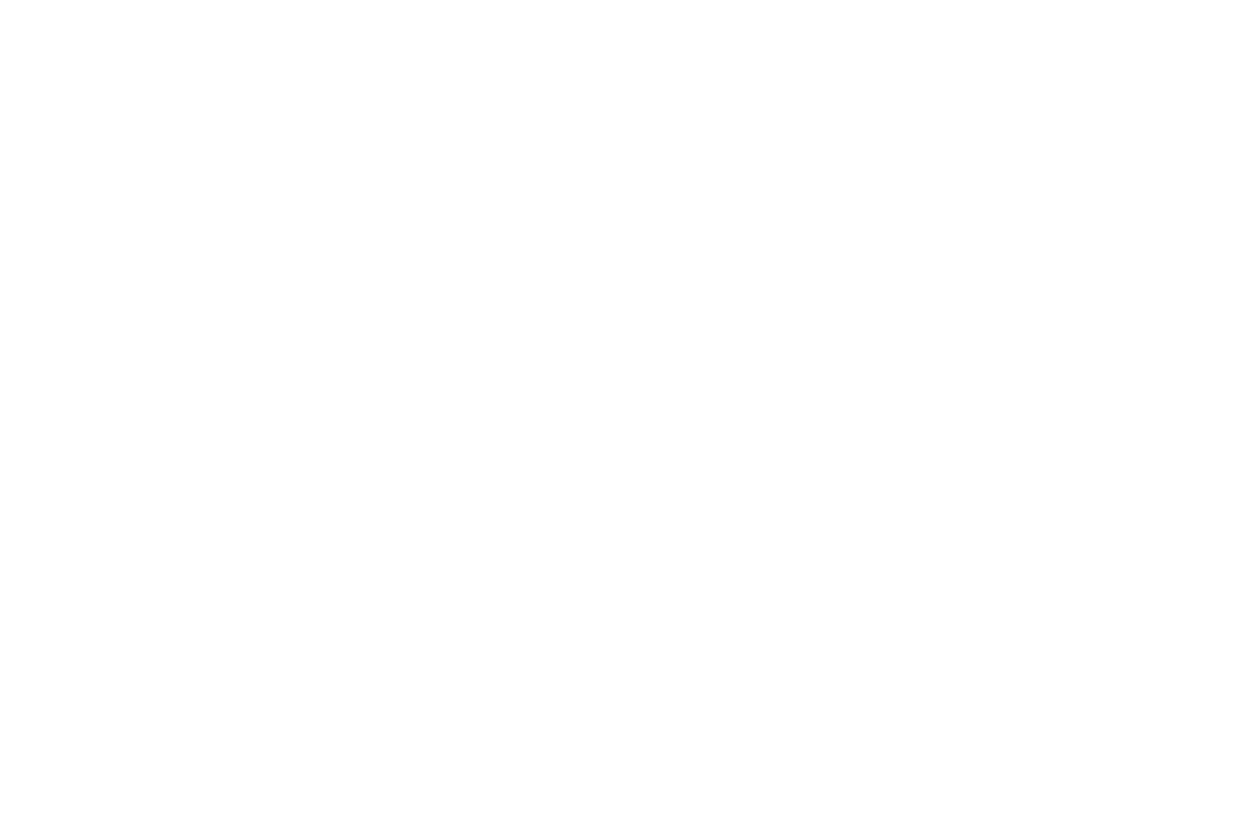 OFFICIAL SELECTION - The Melbourne Independent Filmmakers Festival - 2023.png