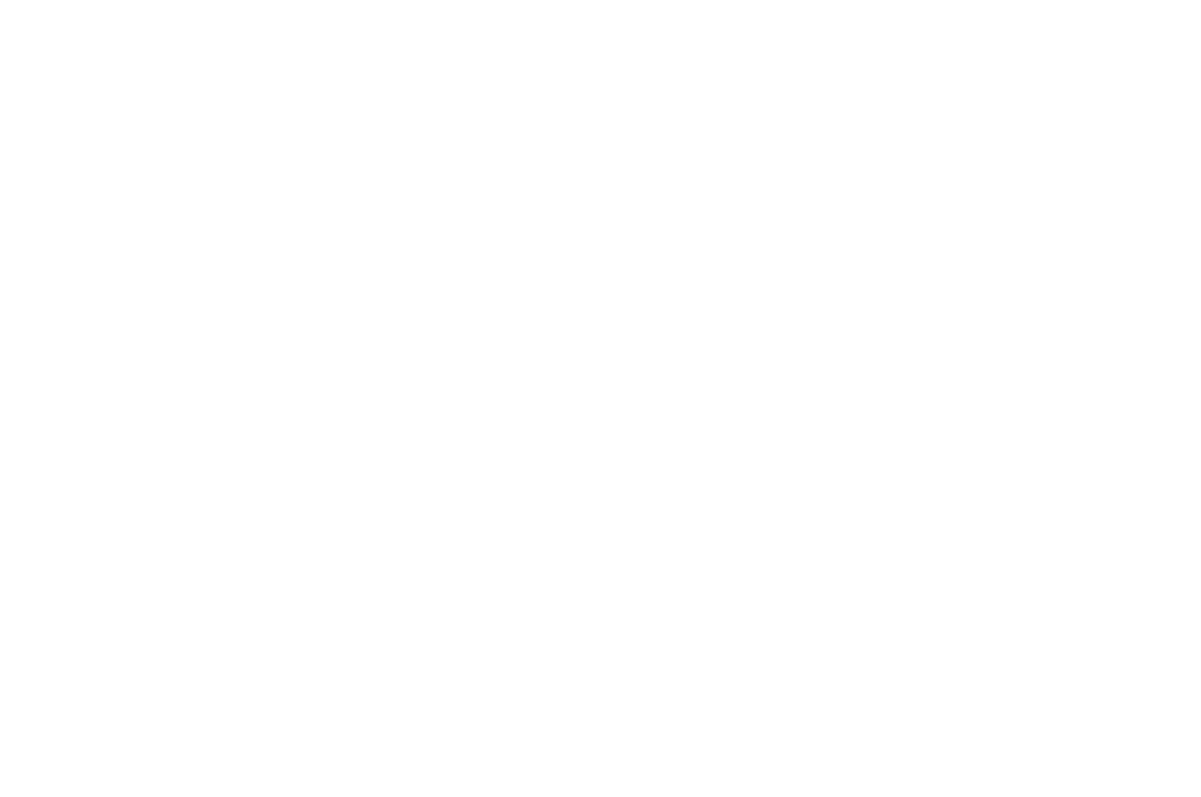 1 OFFICIAL SELECTION - Dark History and Horror Cons Screaming Mad Film Festival - 2022.png