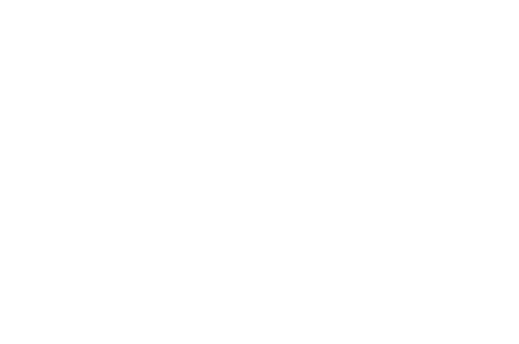 OFFICIAL SELECTION - 2018 Women in Film  TV International - Short Film Showcase - 2017.png