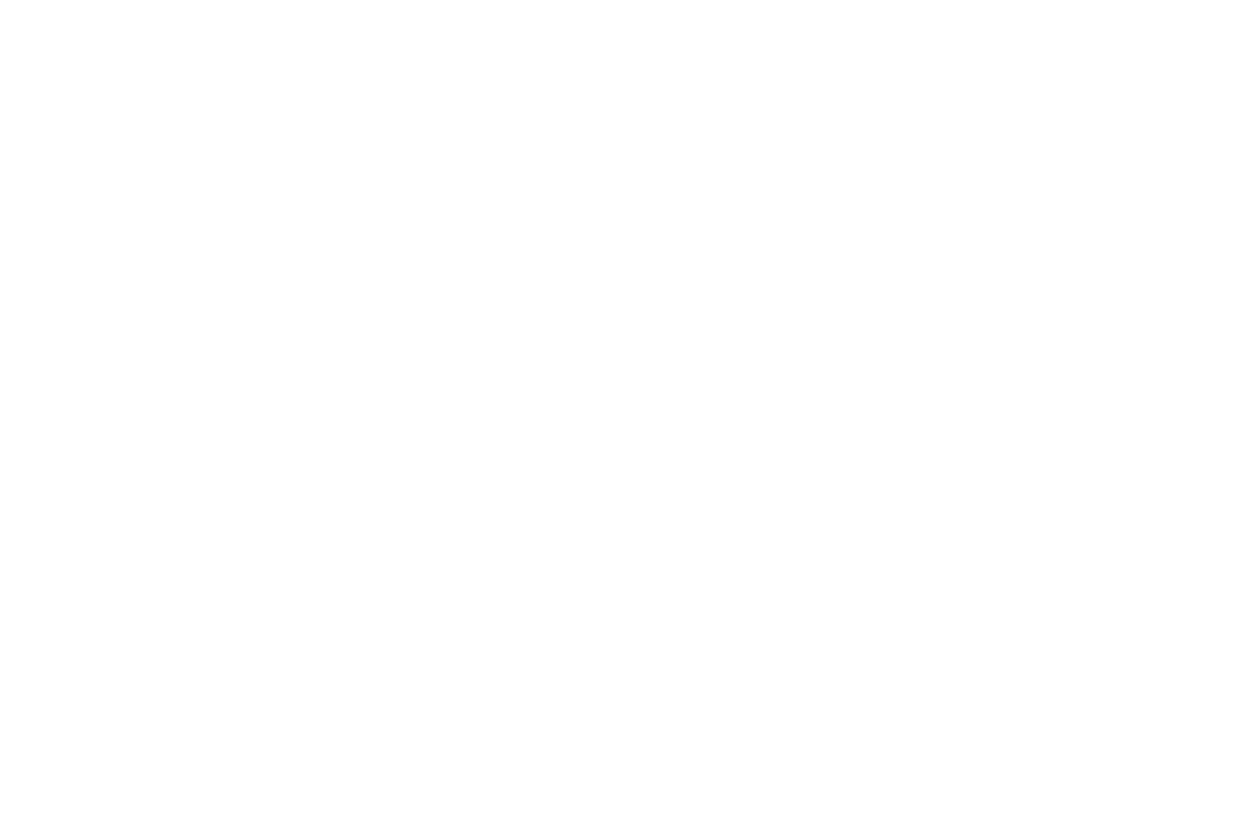 OFFICIAL SELECTION - Central Florida CineFest - CFCF - 2020.png