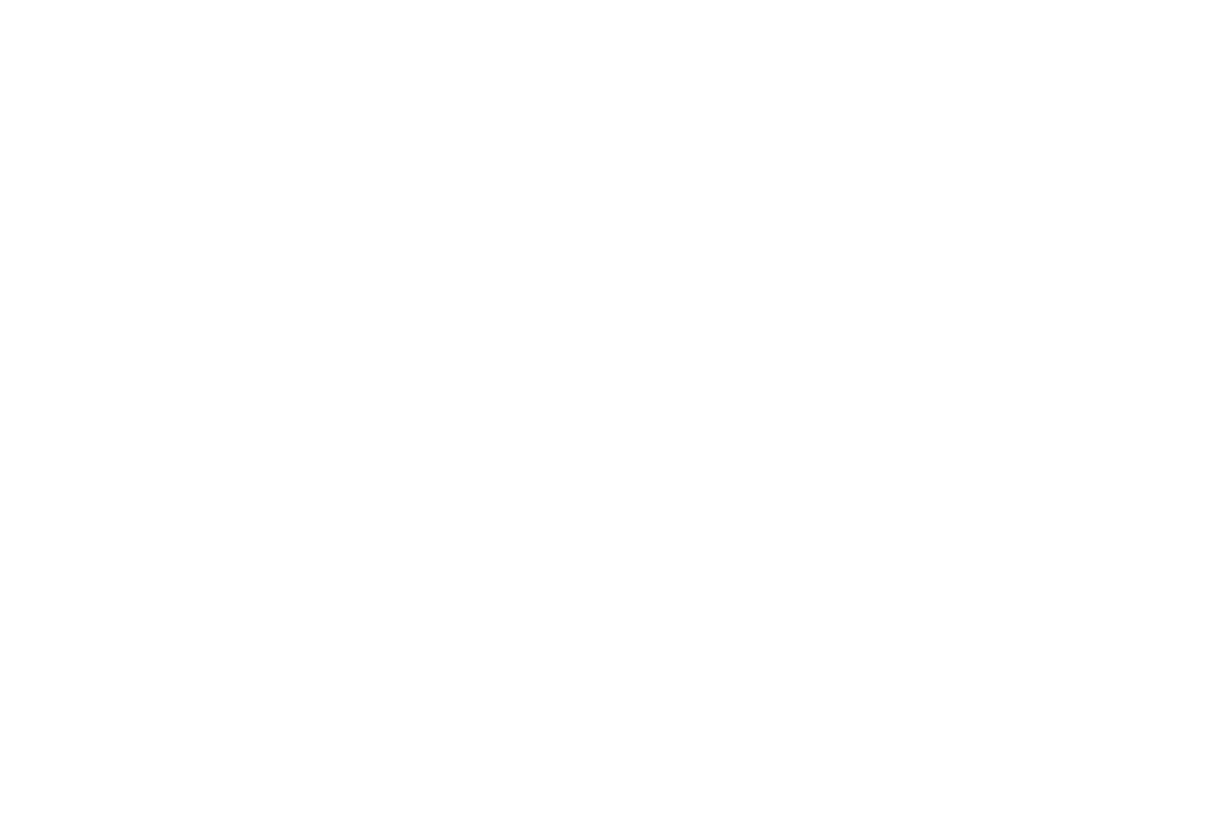 1 OFFICIAL SELECTION - Central Florida CineFest - CFCF - 2023.png