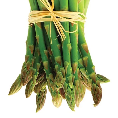 Springtime in the Kitchen