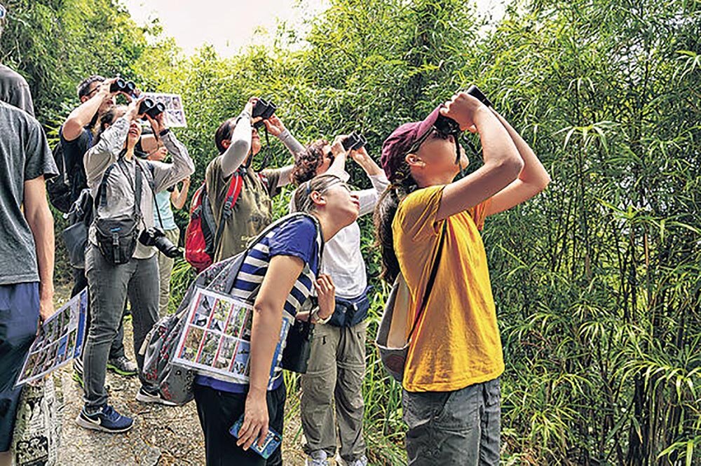 Visitors spot the wildlife at Lung Fu Shan