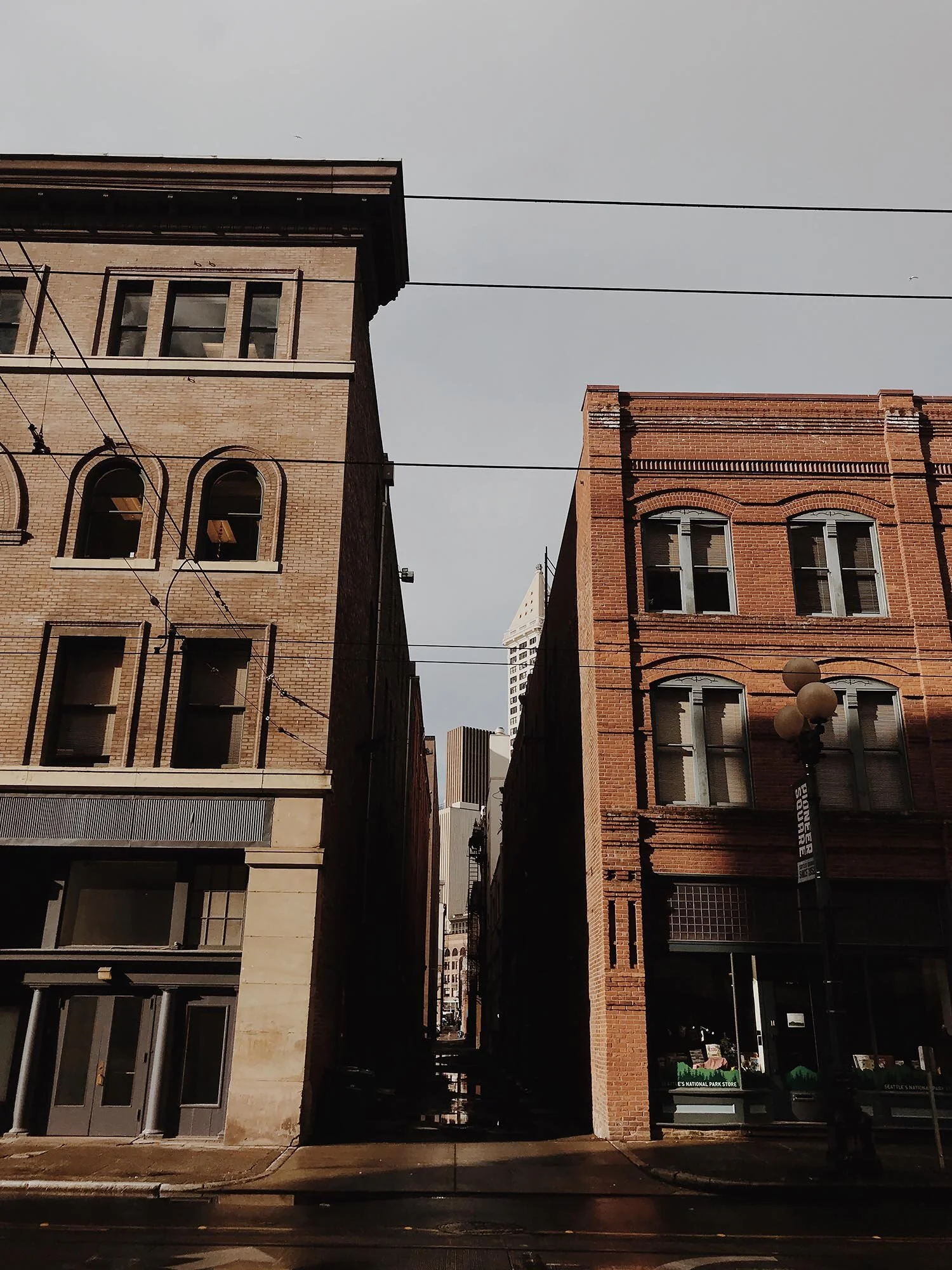Hidden Shadows.jpg