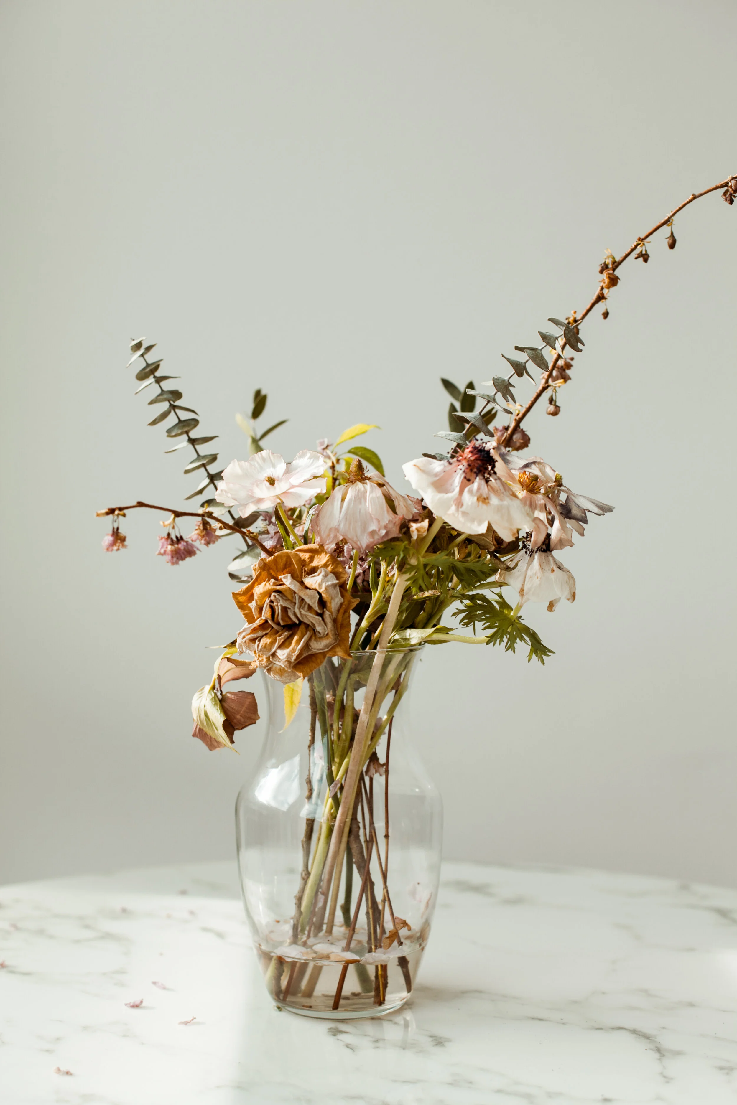 ElizabethZuluaga_FloralsStillLife_002.jpg