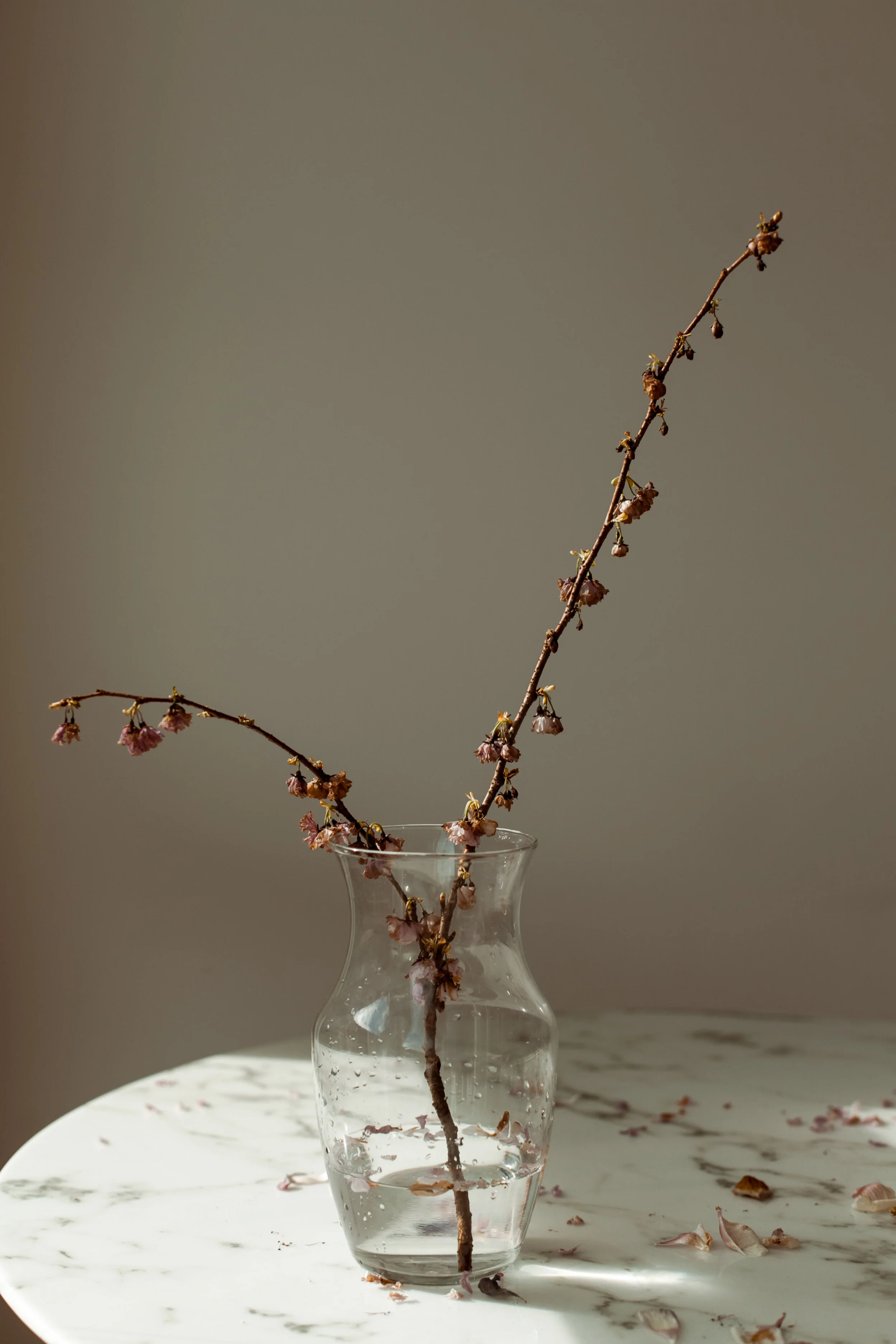 ElizabethZuluaga_FloralsStillLife_013.jpg