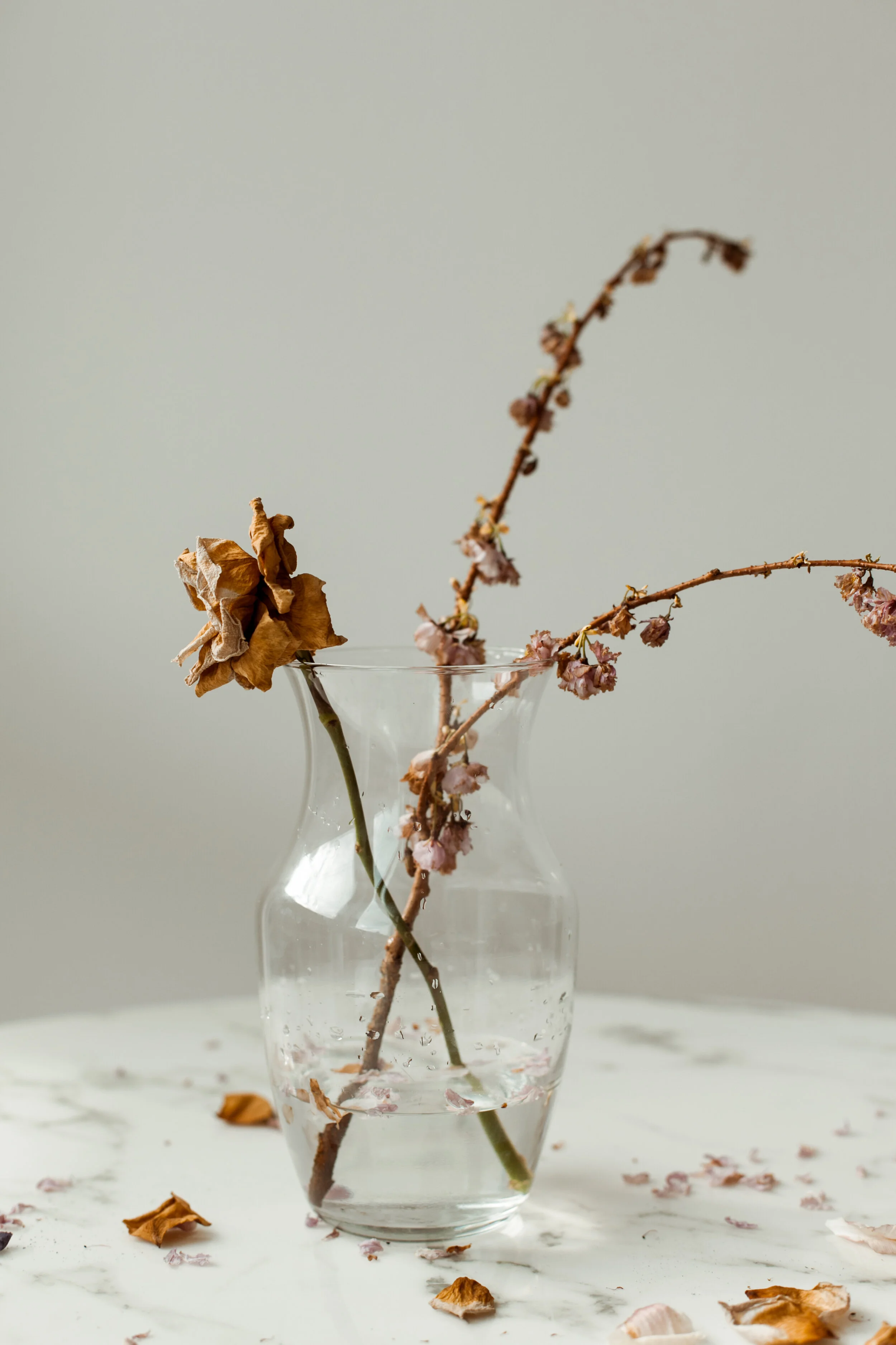 ElizabethZuluaga_FloralsStillLife_019.jpg