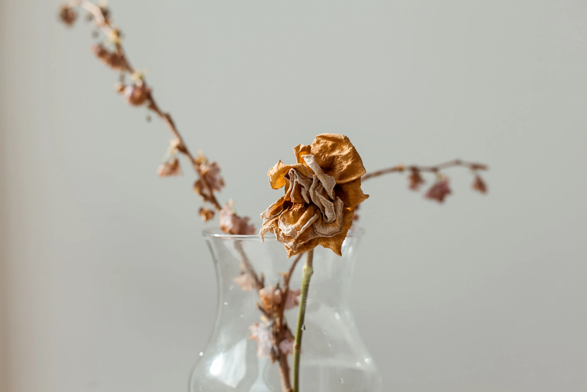 ElizabethZuluaga_FloralsStillLife_020.jpg